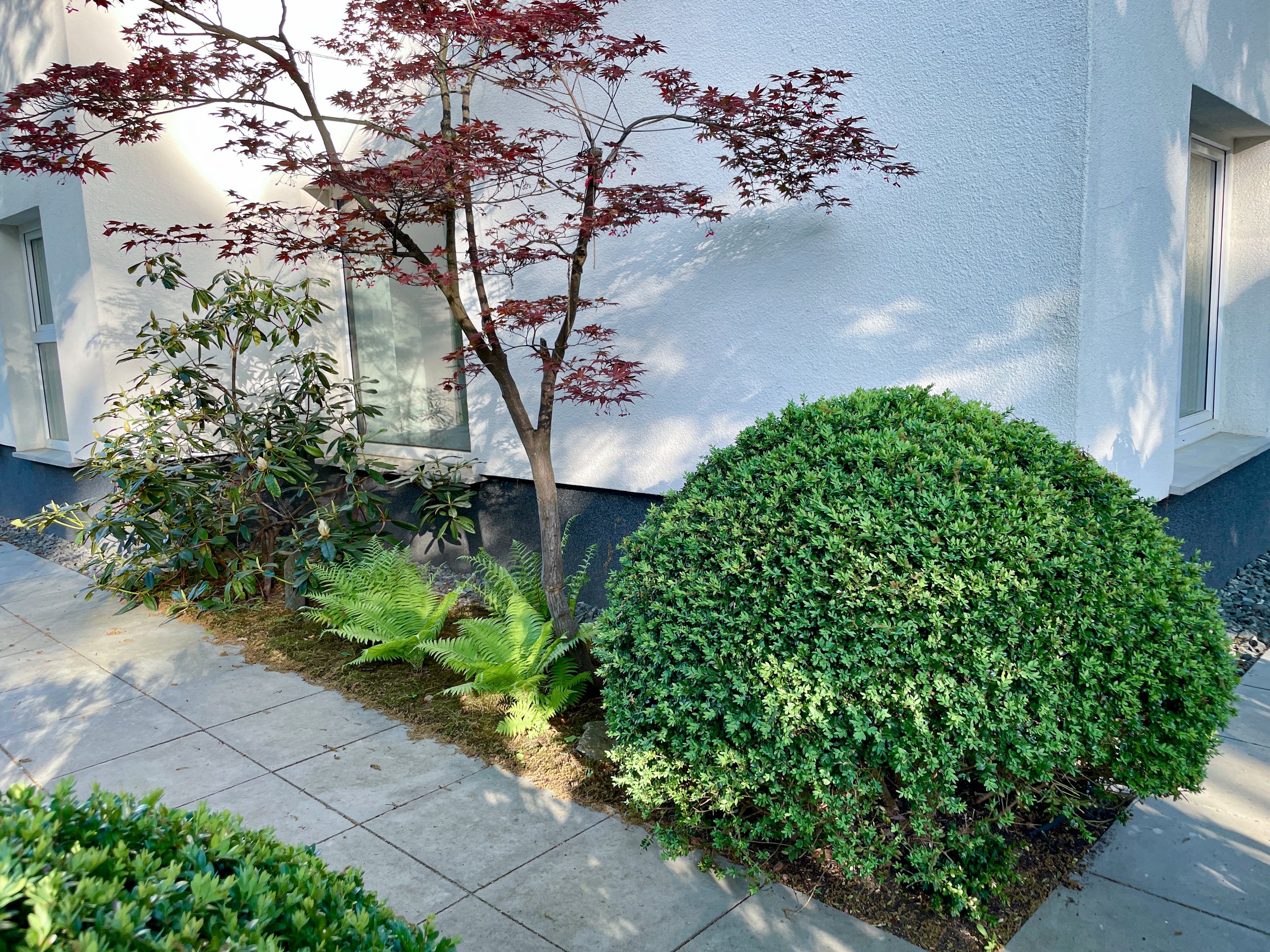 Garten2-1.jpg