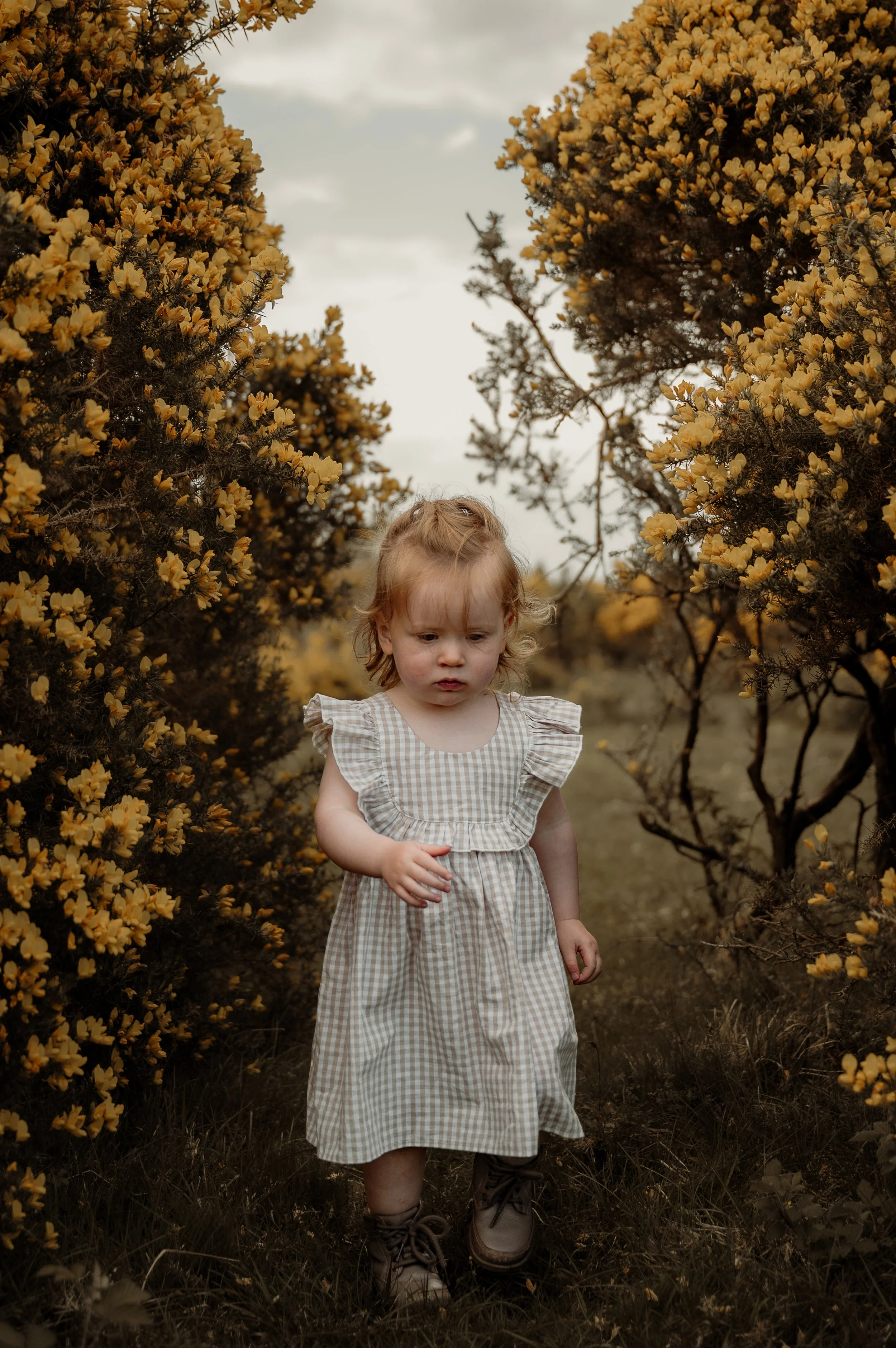 Family photoshoot Bodmin moor, Cornwall