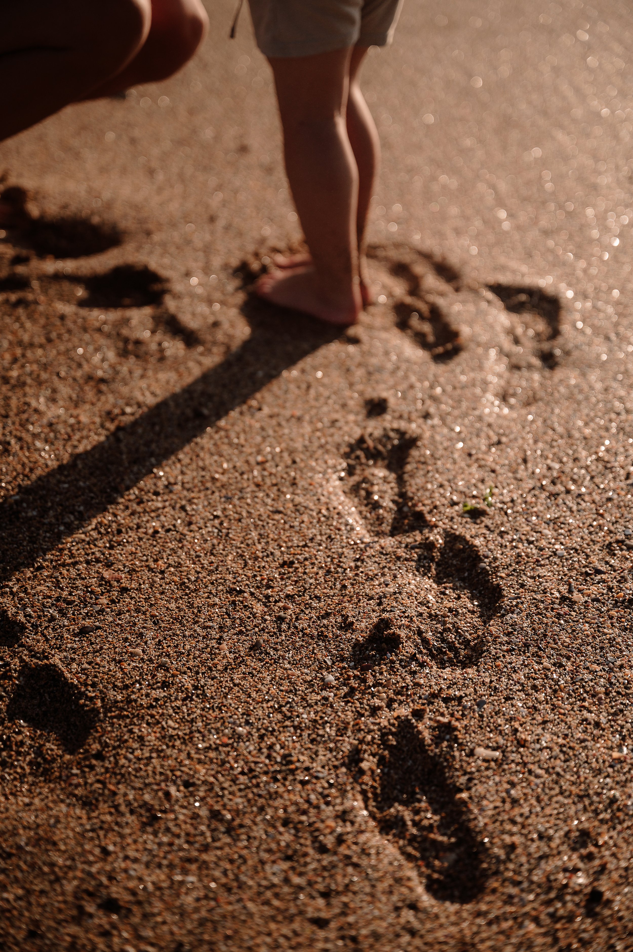 family photography, bodmin moor Cornwall