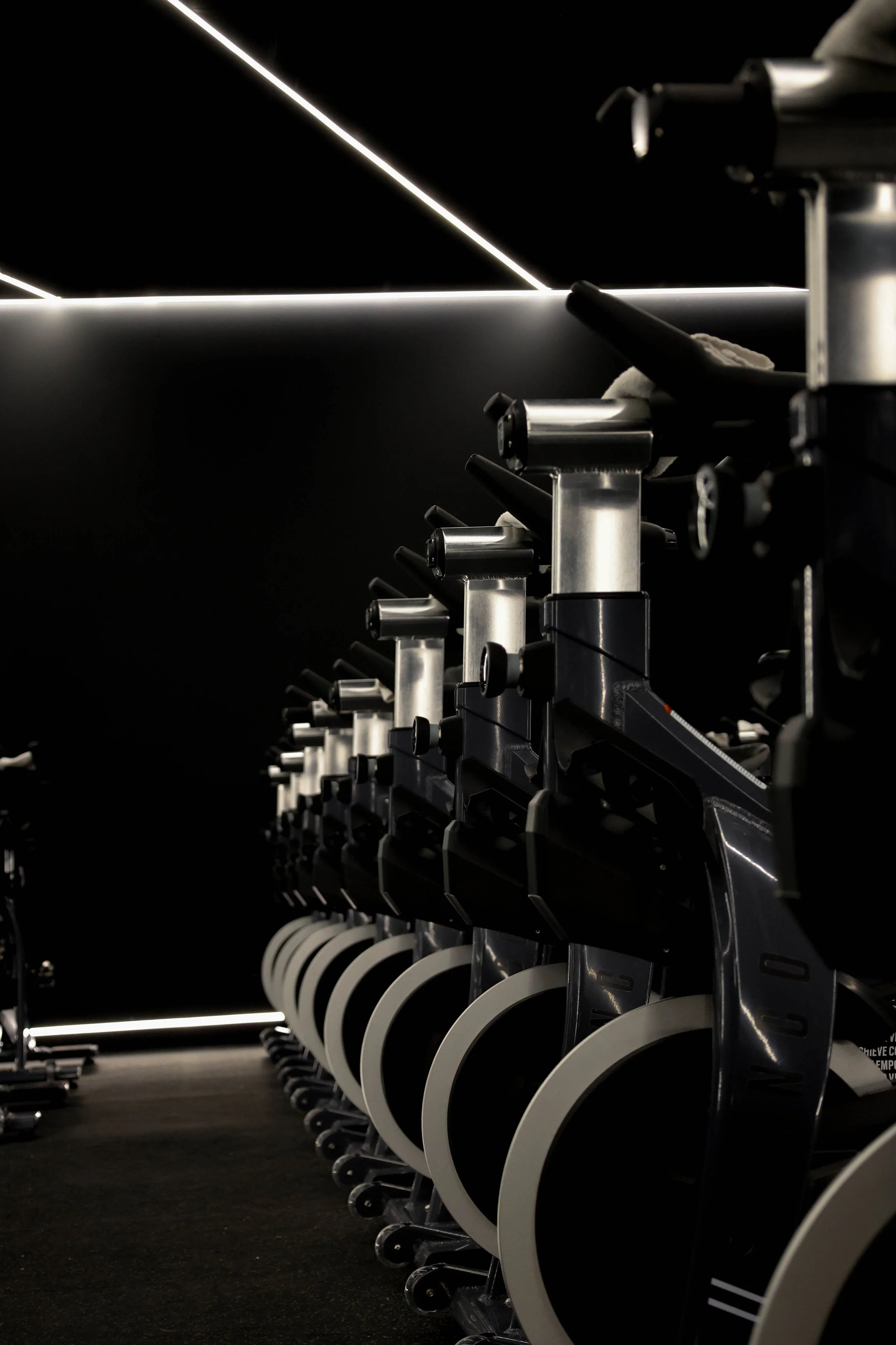 Spinco_02.11.25-5.jpg