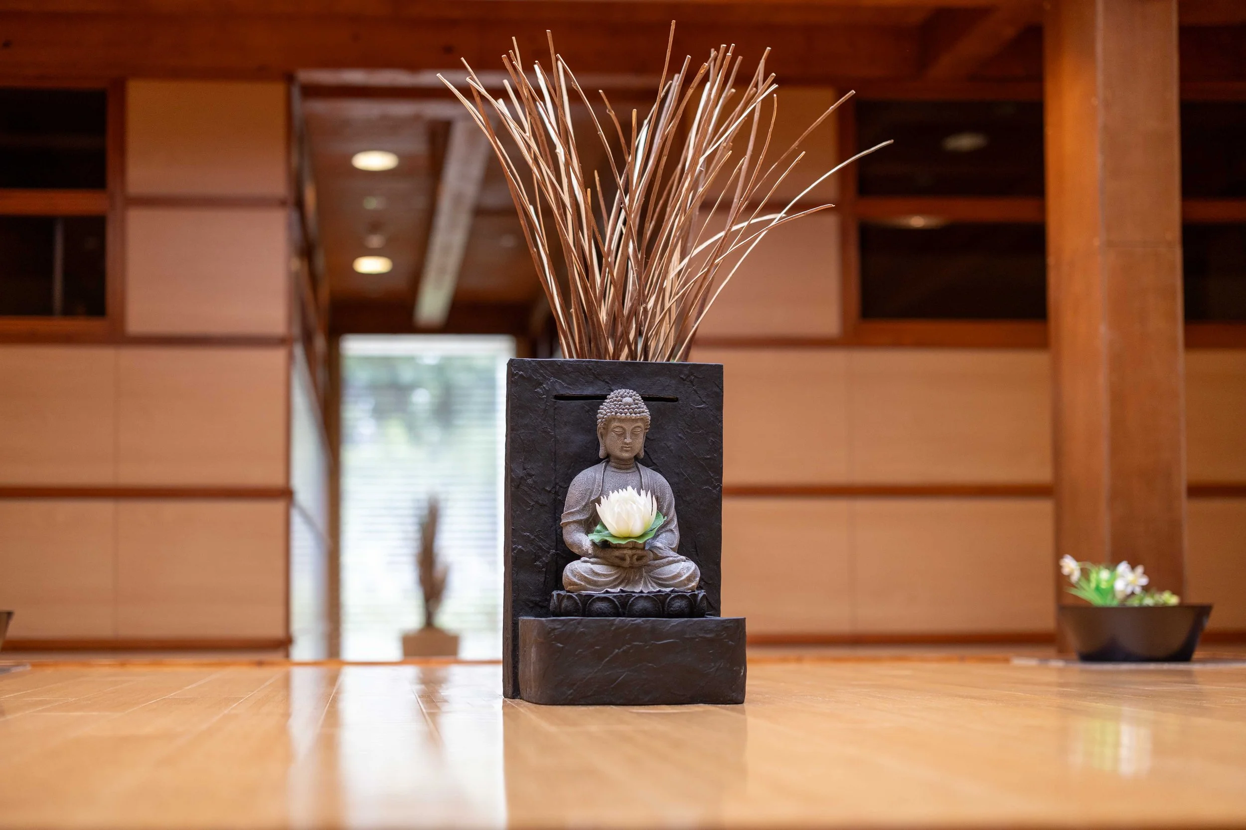 Mindfulness Retreat