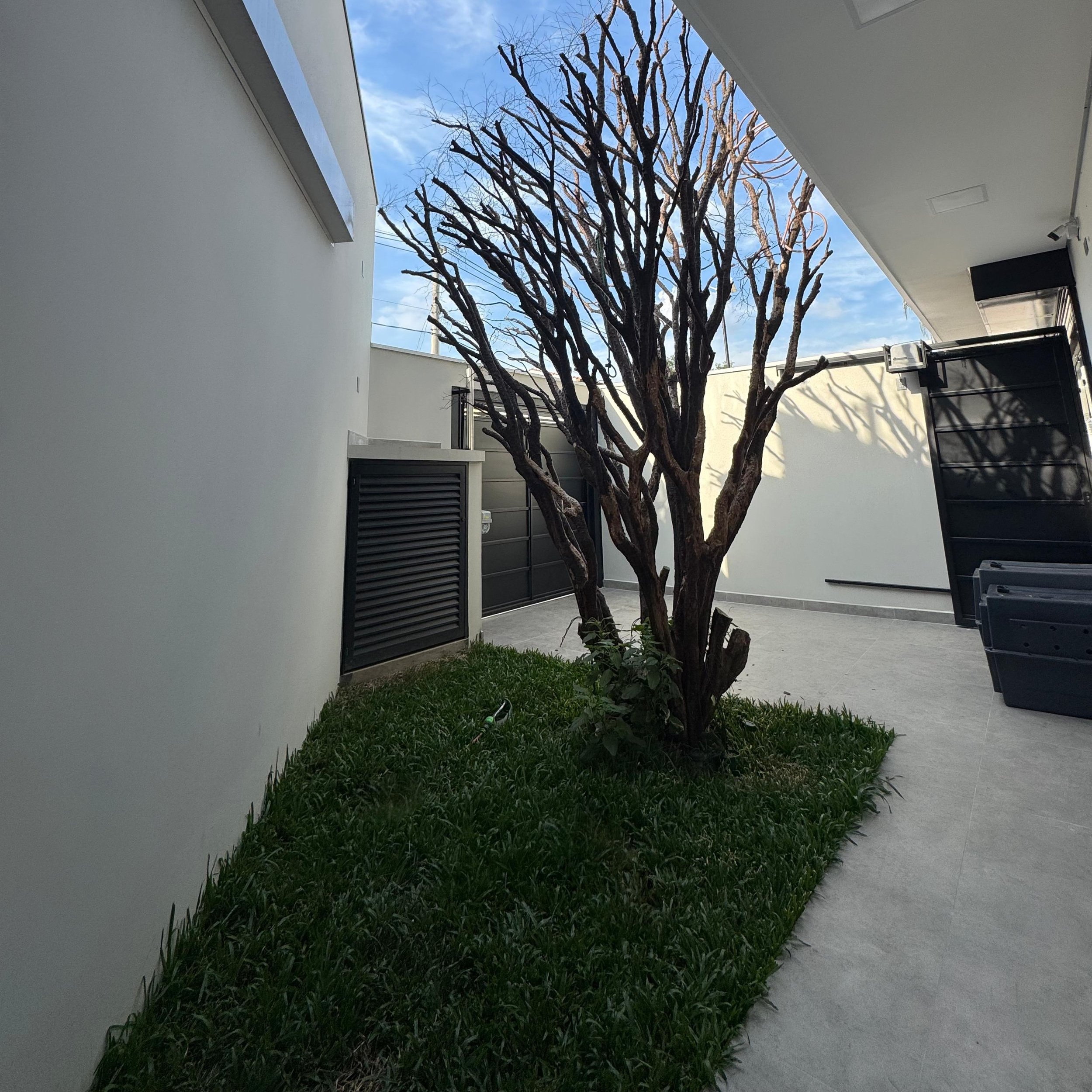Jardim