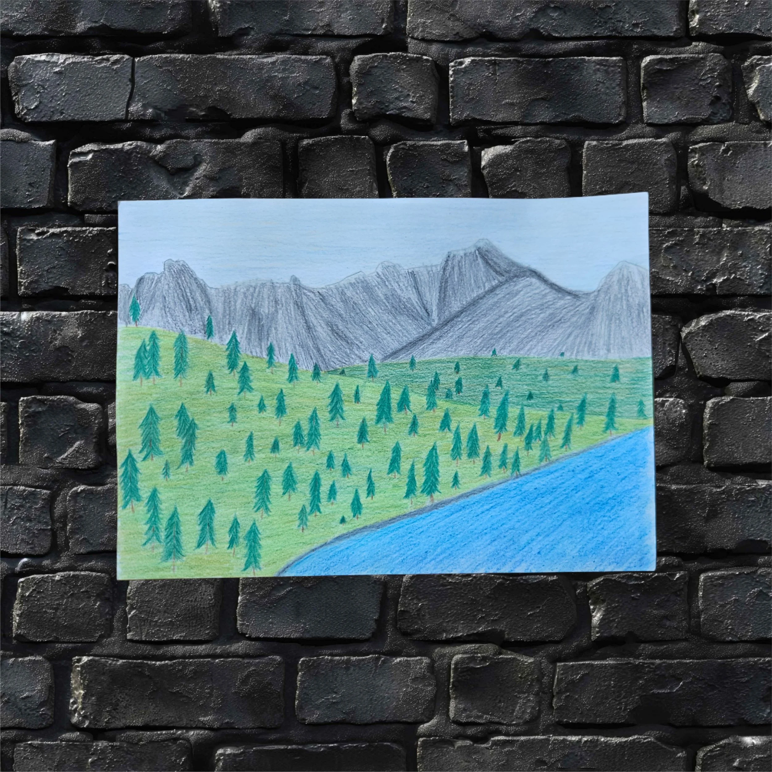 Nadelwald am Flussufer