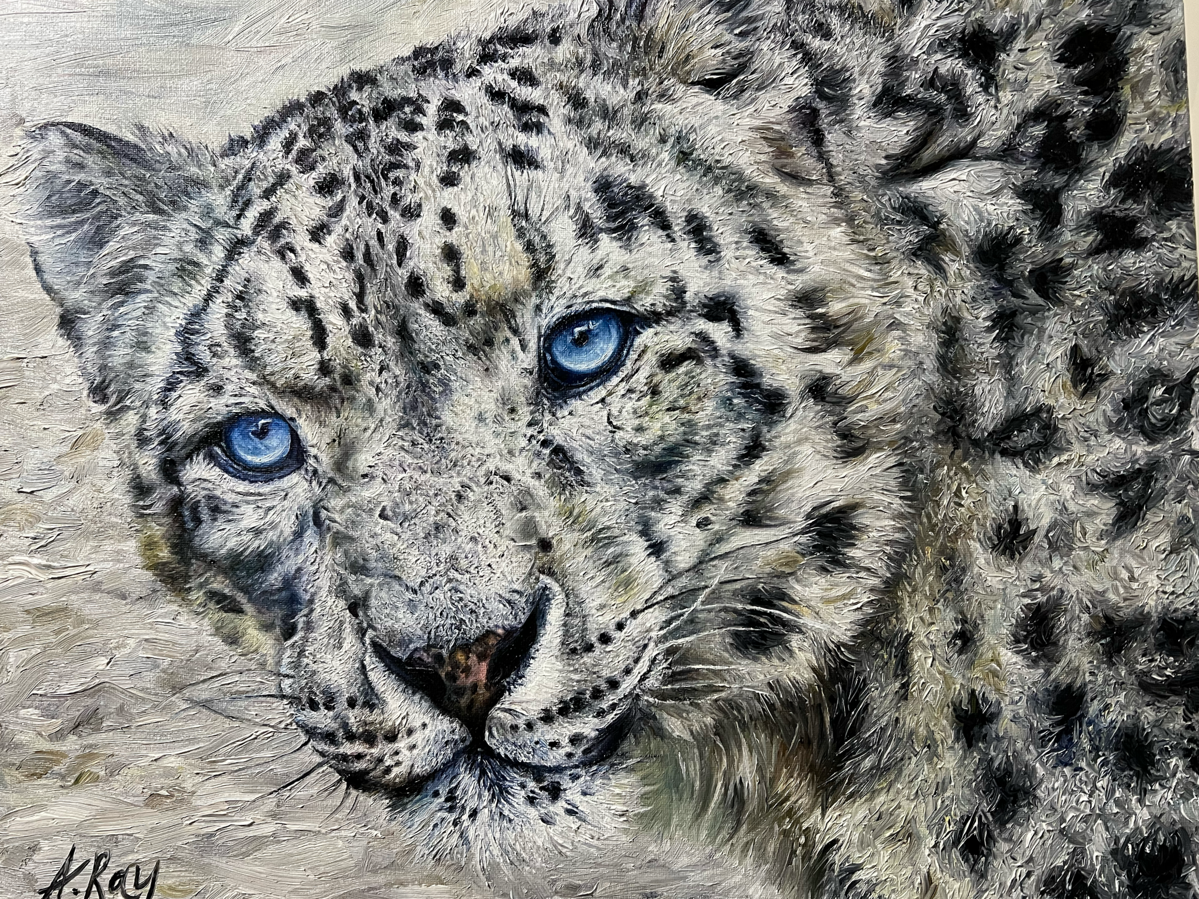 'The Snow Leopard'. Oil on Canvas. 45.72cm x 55.88cm.