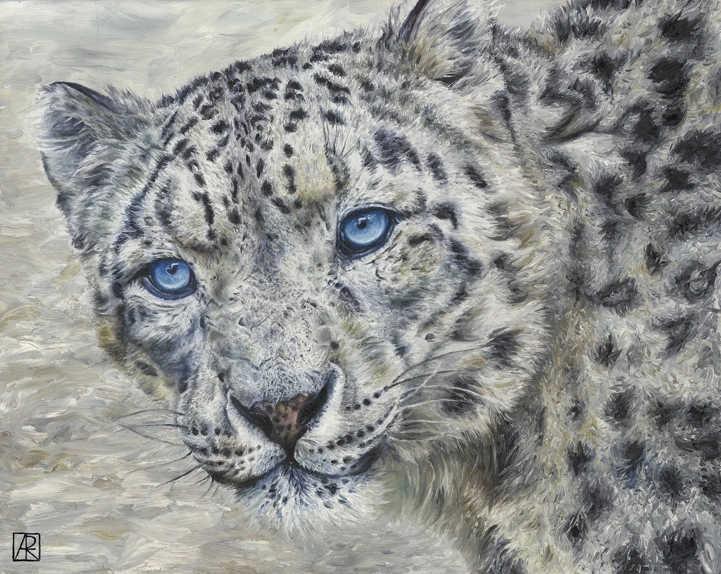 'The Snow Leopard'. Oil on Canvas. 55cm x 45cm.