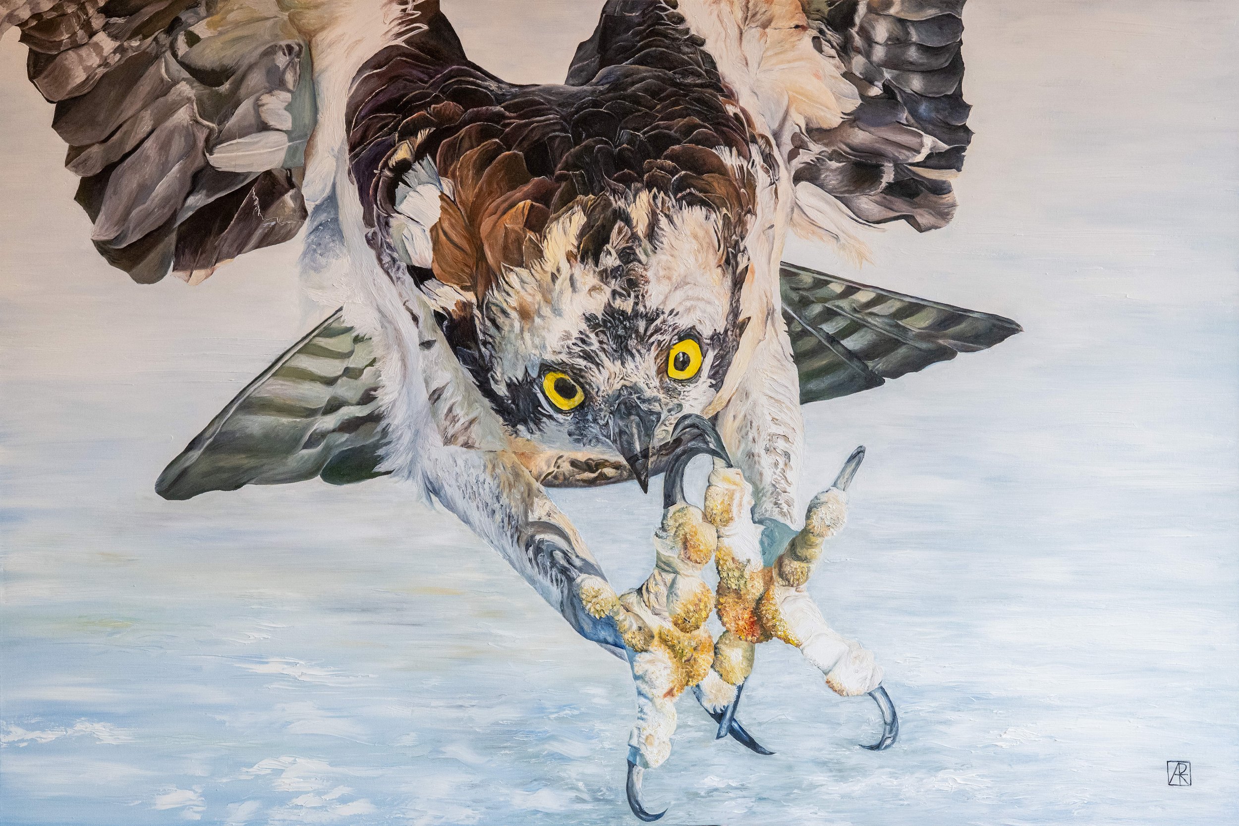 'Bad Day to be a Fish'. Oil on Canvas. 100cm x 150cm.