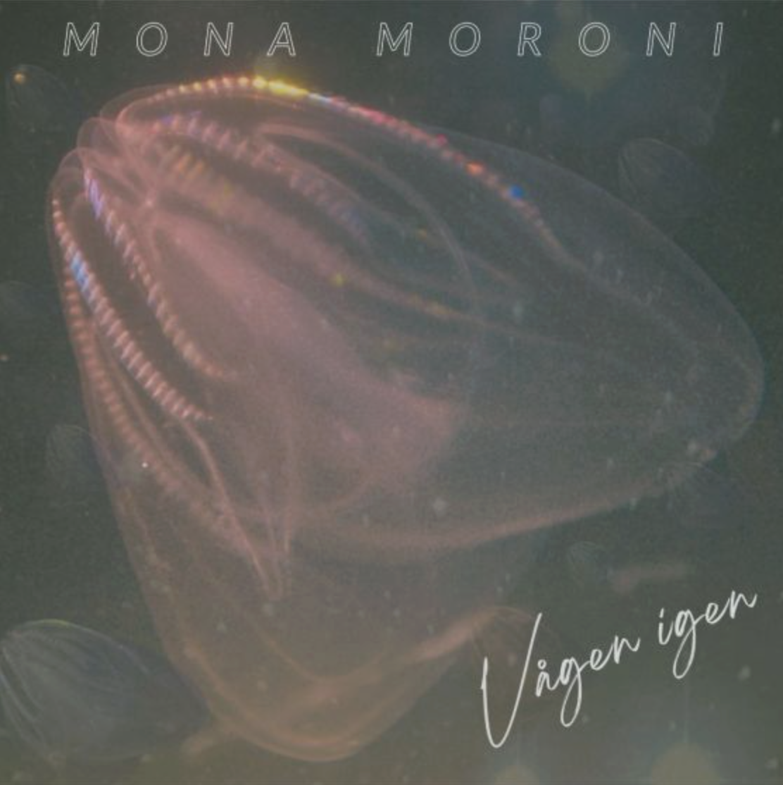 Vågen igen (VINYL)