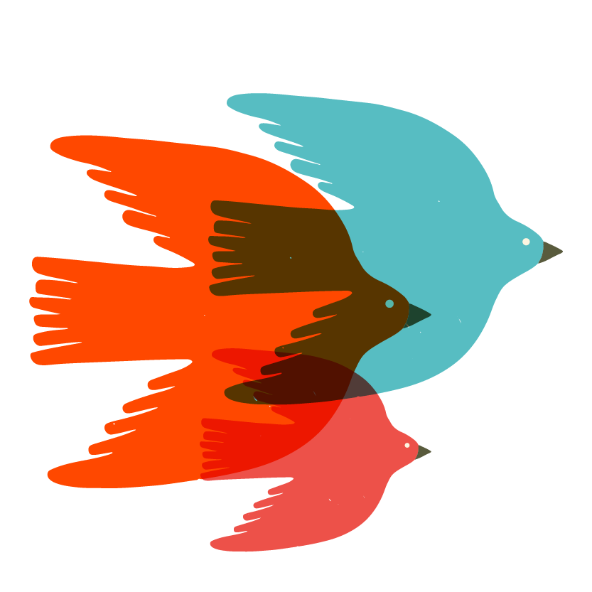 Illustration of three colourful birds overlapping, each with different colours and sizes on a black background.