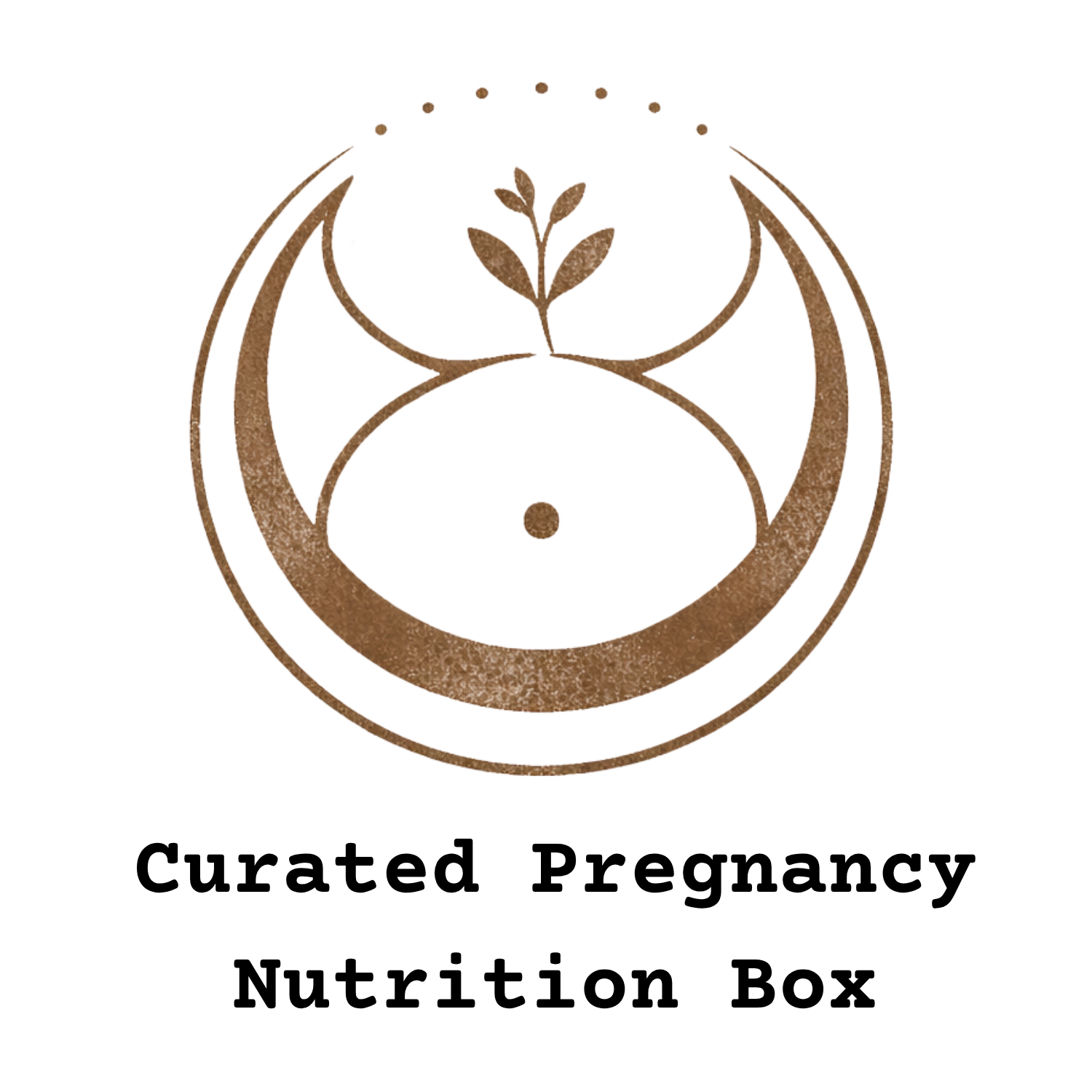 pregnancy nutrition meal delivery minneapolis minnesota food