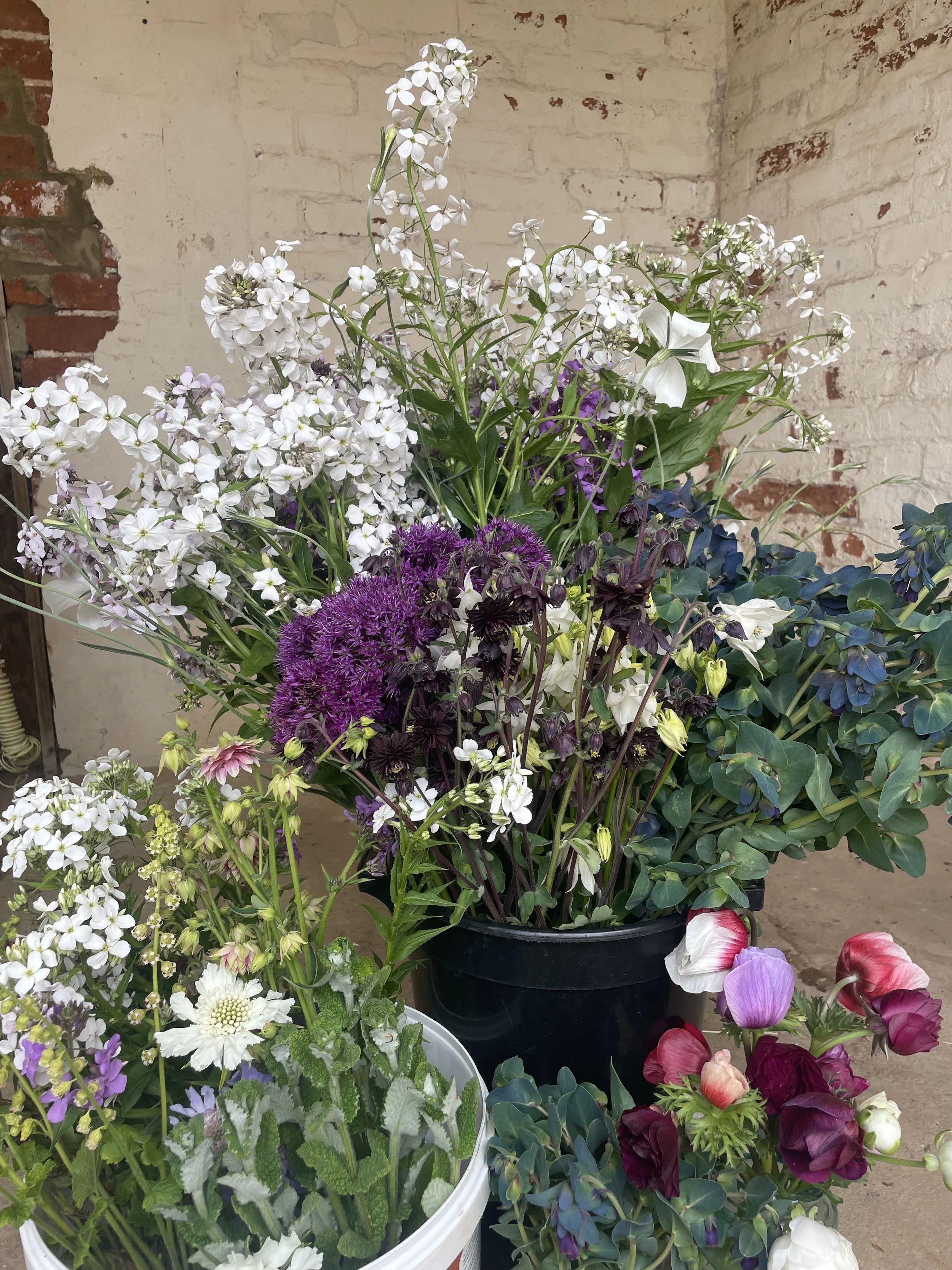 buckets of freshly cut flowers