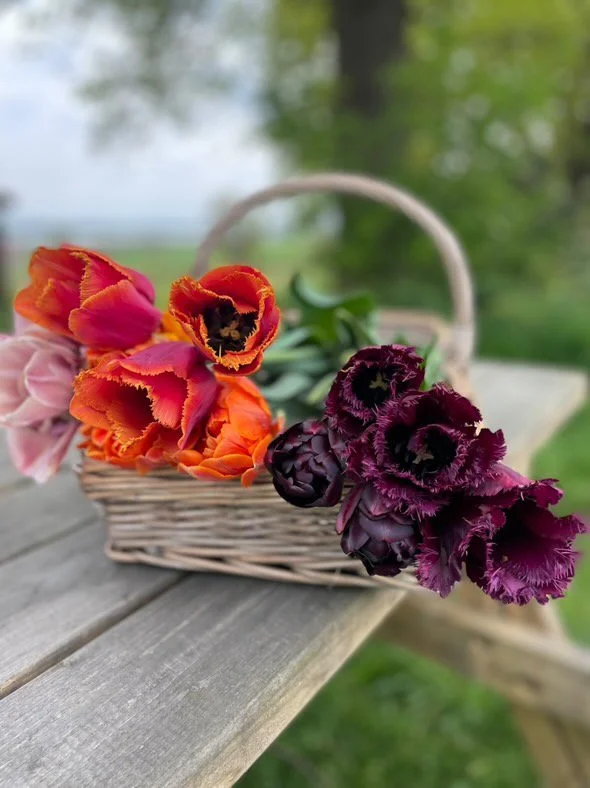 Pick your own flowers (Copy) (Copy)