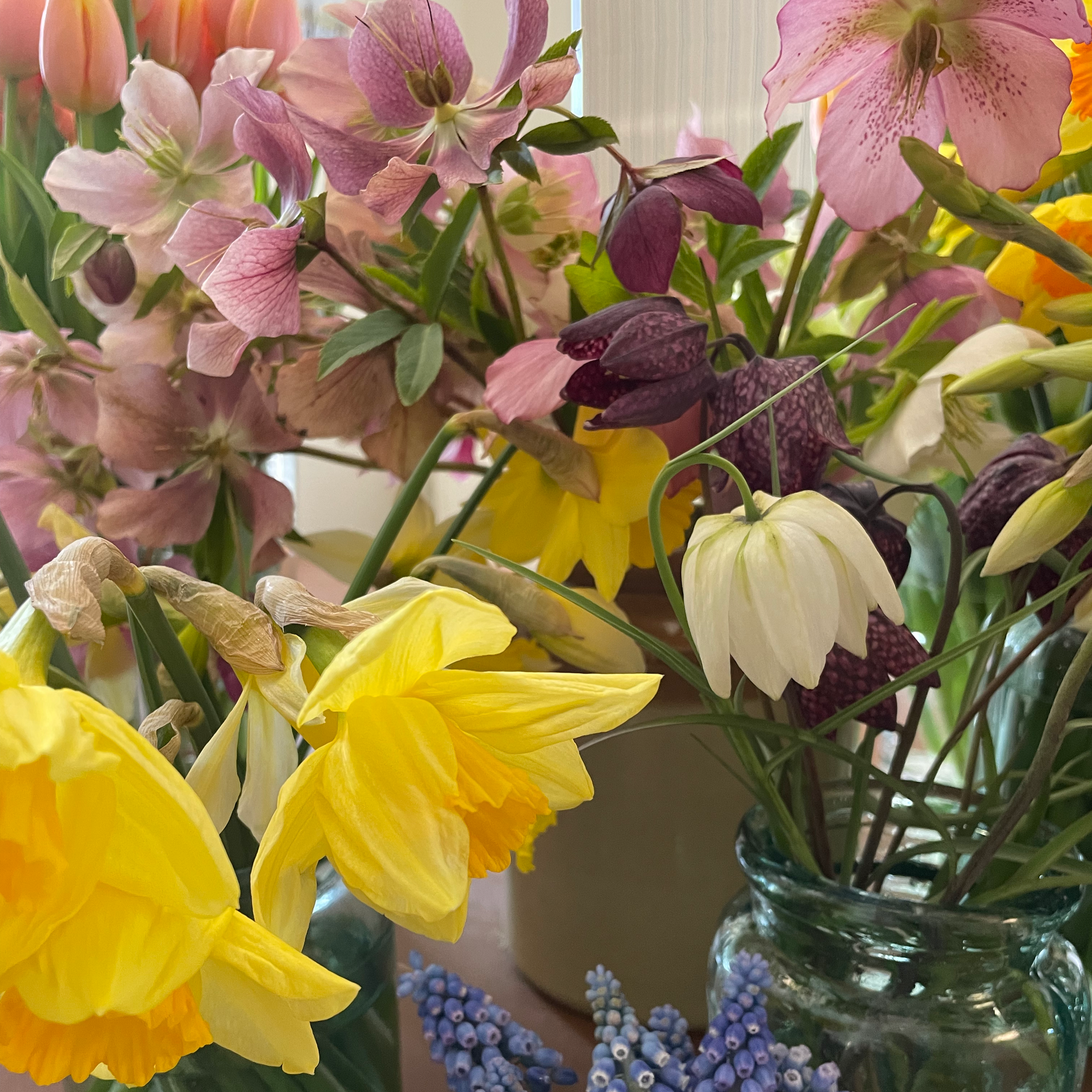 A close-up of a colorful flower arrangement in a glass jar, featuring yellow daffodils, pink and purple orchids, and some small blue flowers.