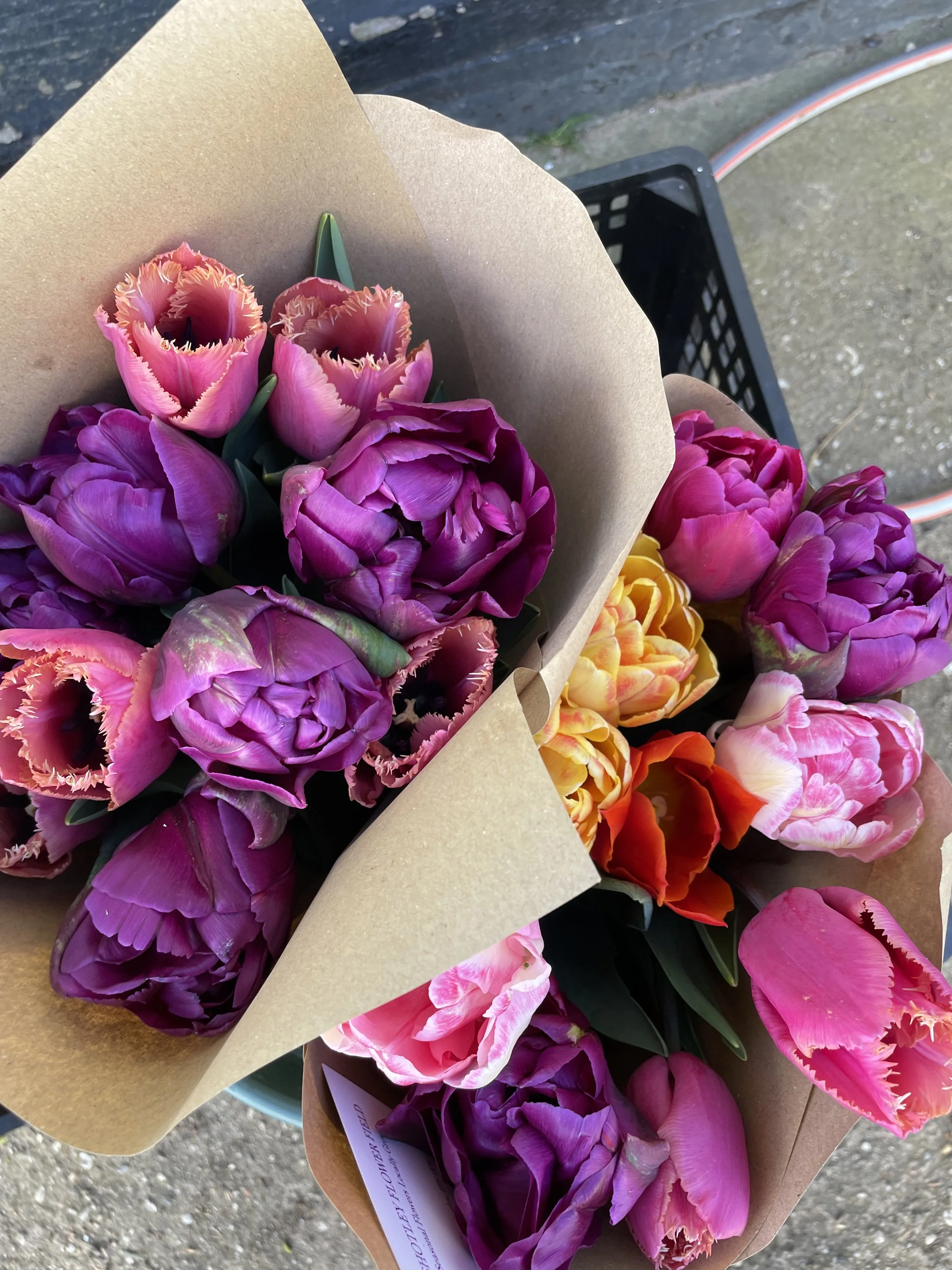 Colourful bouquets of tulips wrapped in brown paper