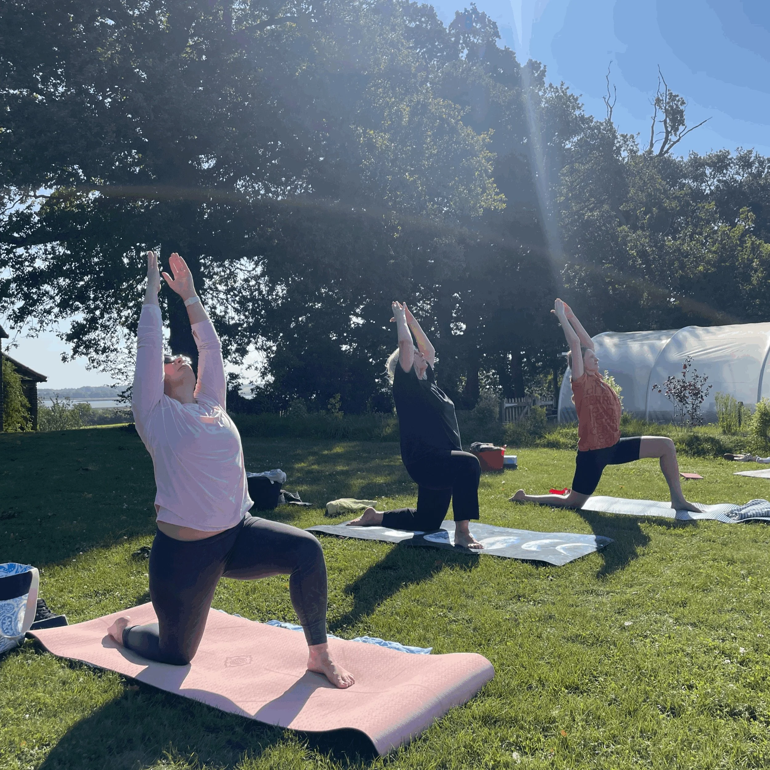 Pilates and PYO Daffodils - Sunday 22nd March 10 - 12