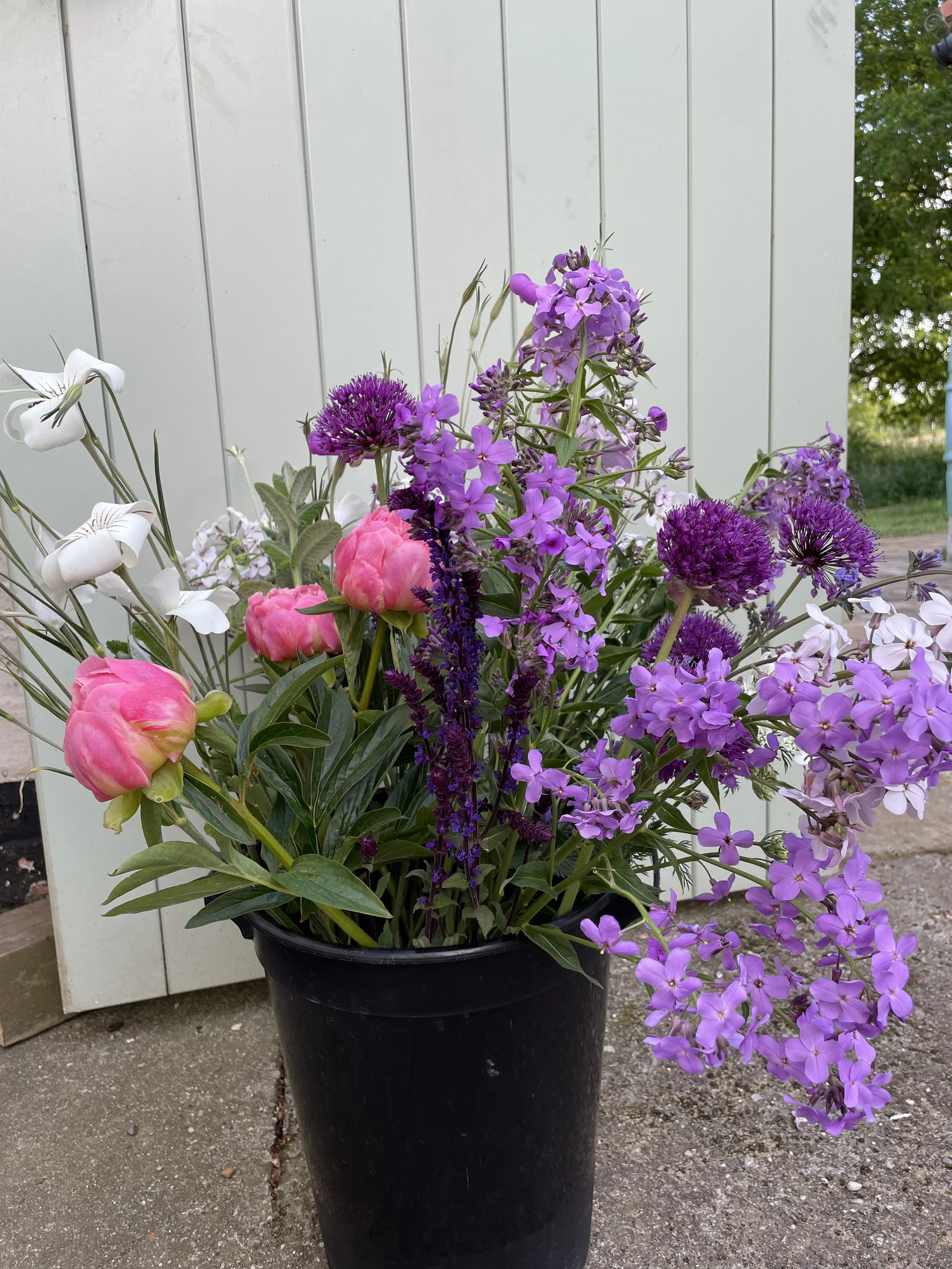 A black bucket filled with colourful flowers, including pink, purple, white, and red blossoms, set outdoors on a stone surface with a green door in the background.