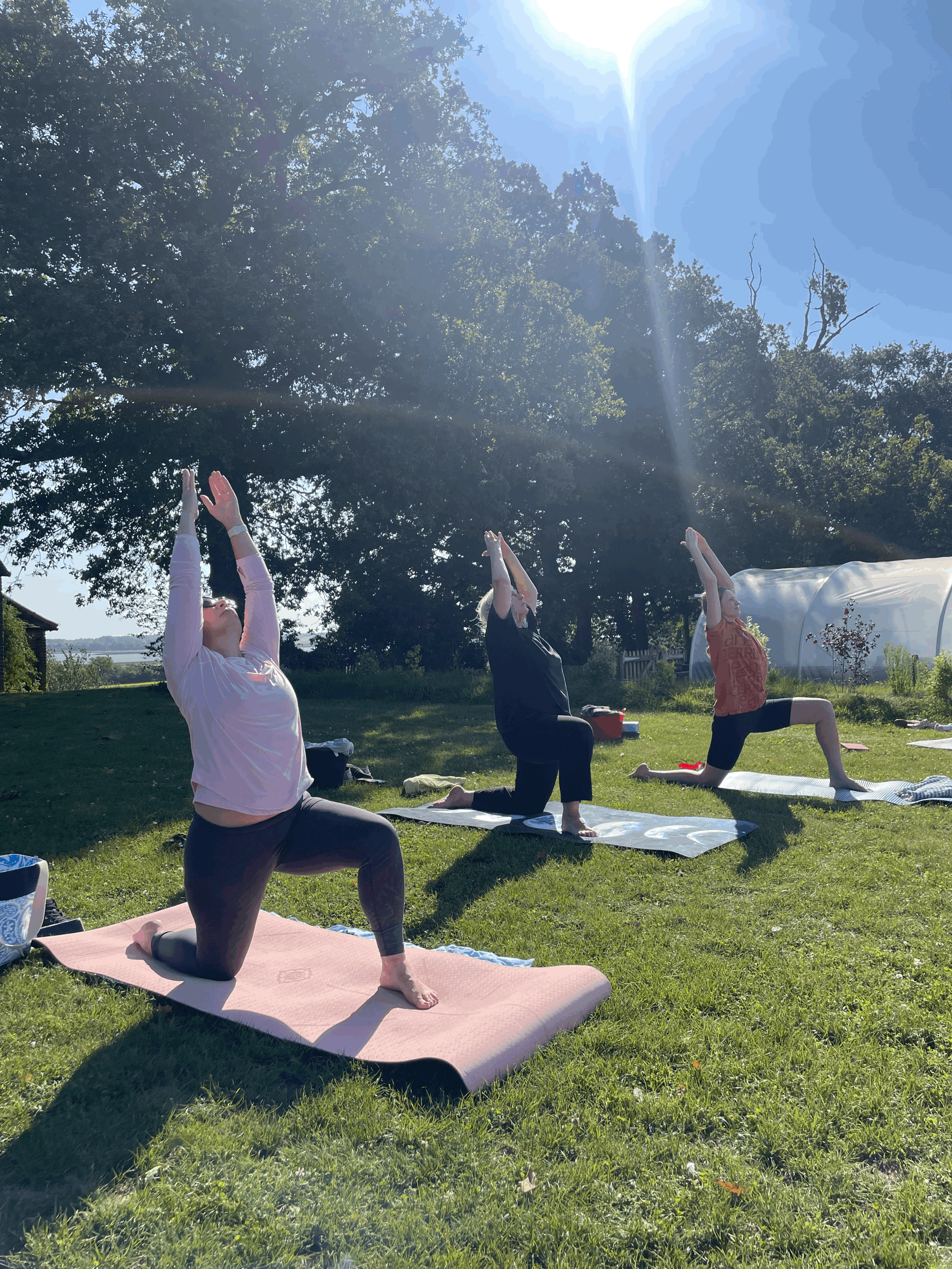 Pilates and PYO Tulips - Sunday 19th April 10 - 12