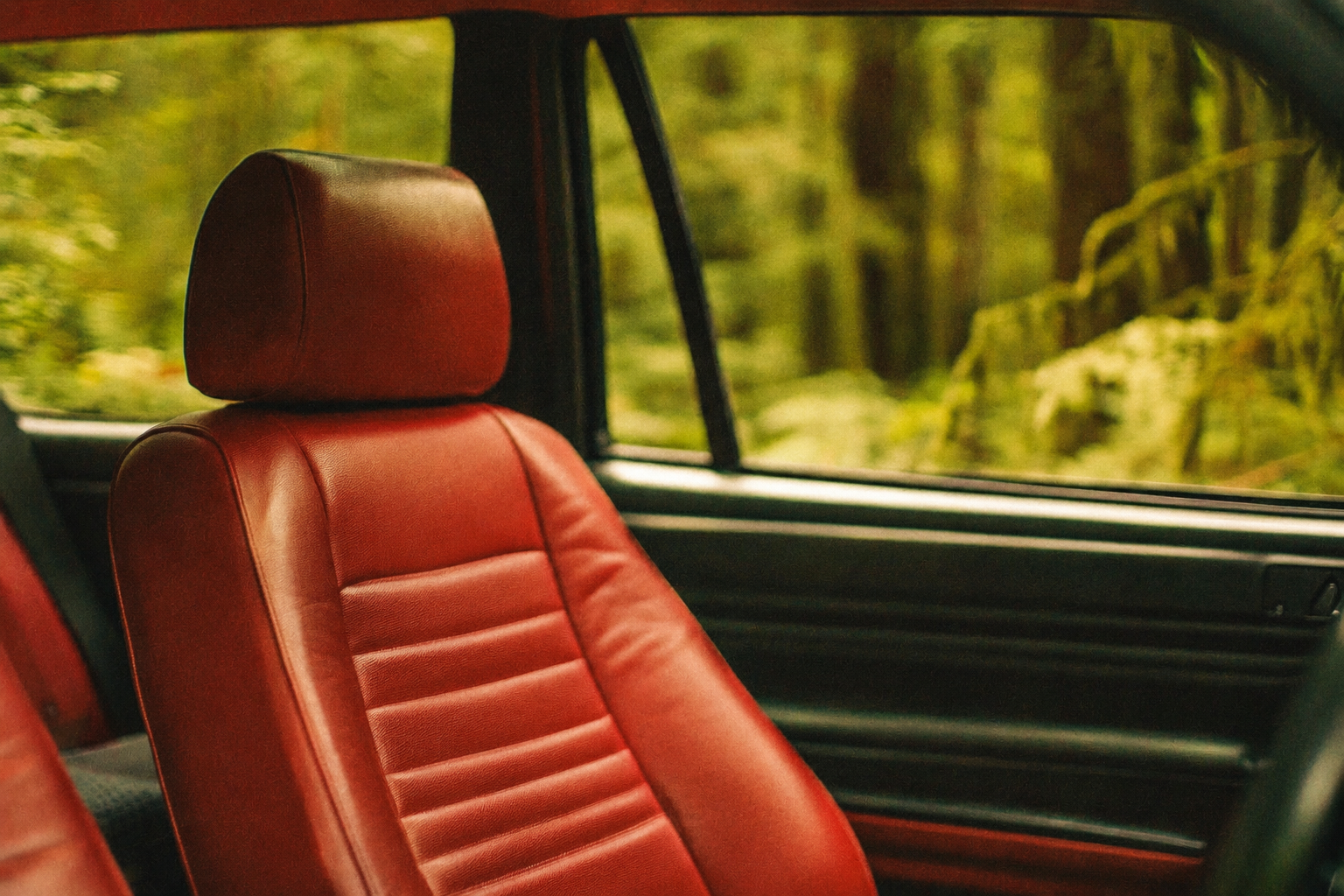 Ein roter Autositz in einem Fahrzeug mit Blick auf ein Fenster, durch das ein grüner Wald zu sehen ist.