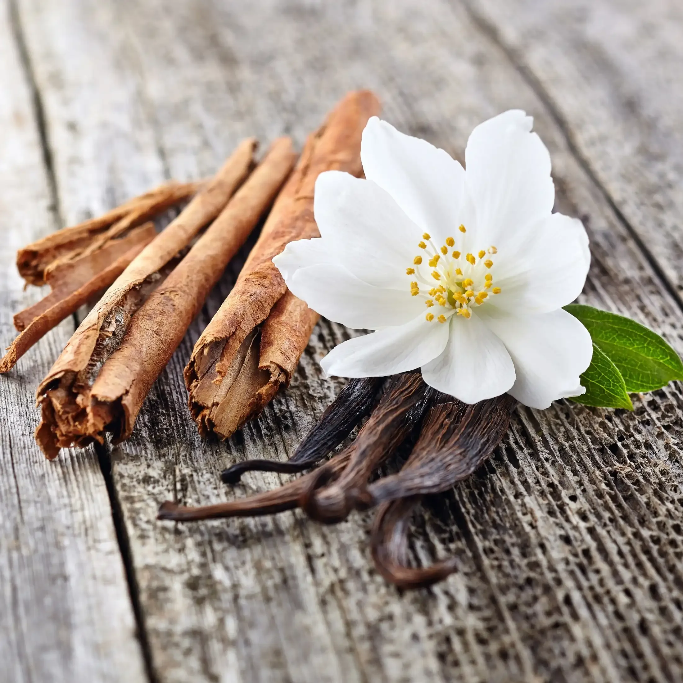 parfum-bougies-vanille-cannelle.webp