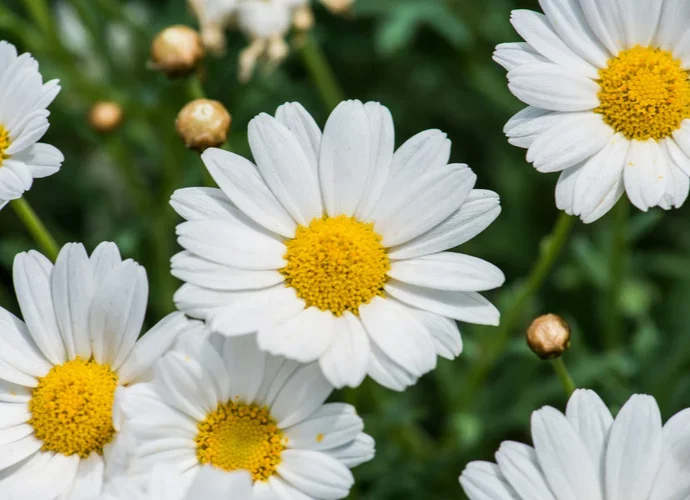 605c527fe6abc_shutterstock_1398741062.webp