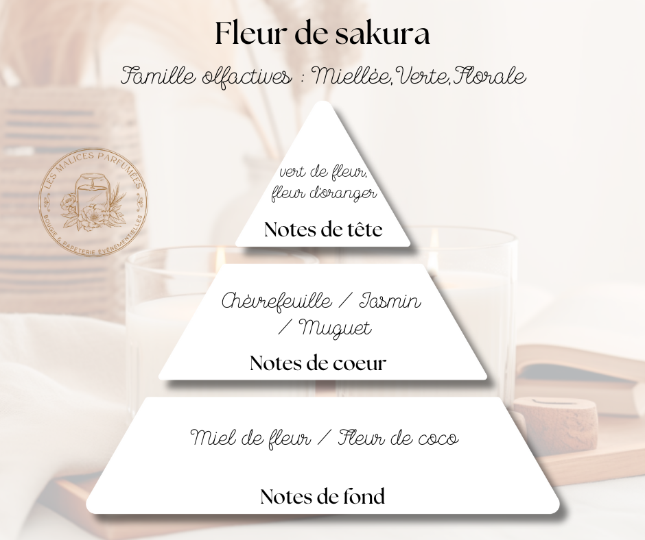 Bouquet solaire (11).png