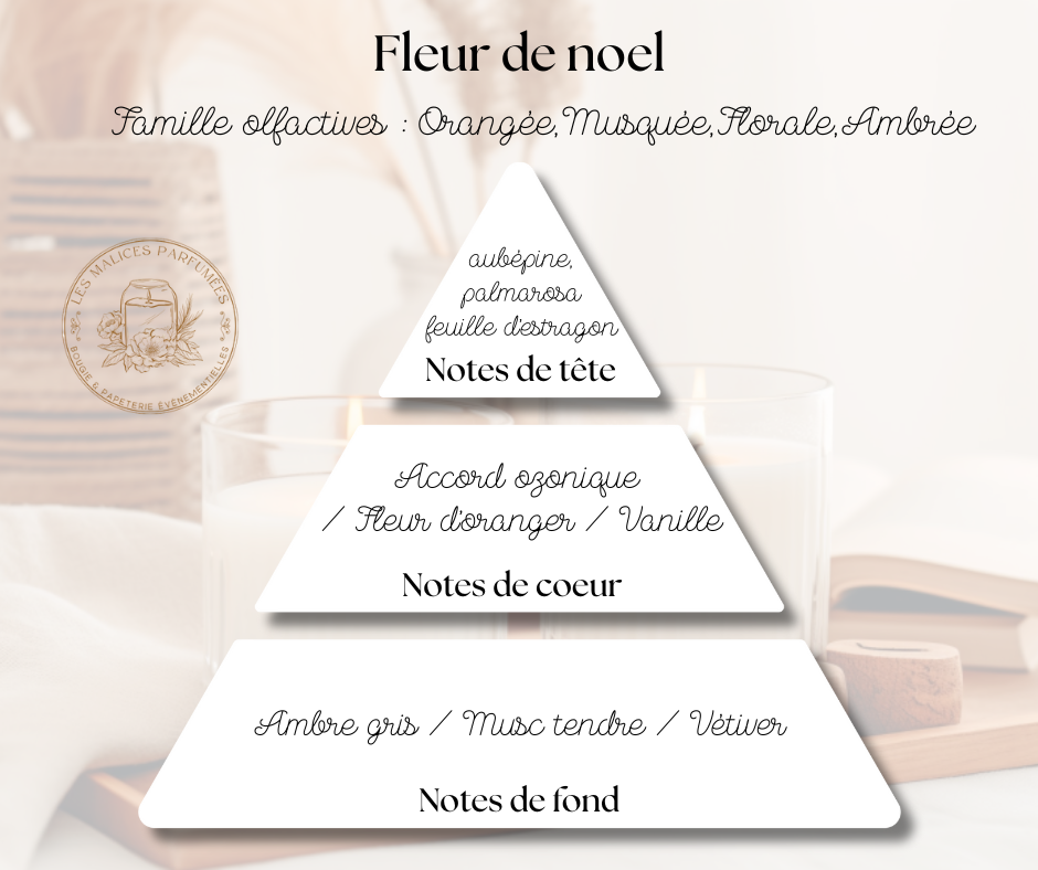 Bouquet solaire (12).png