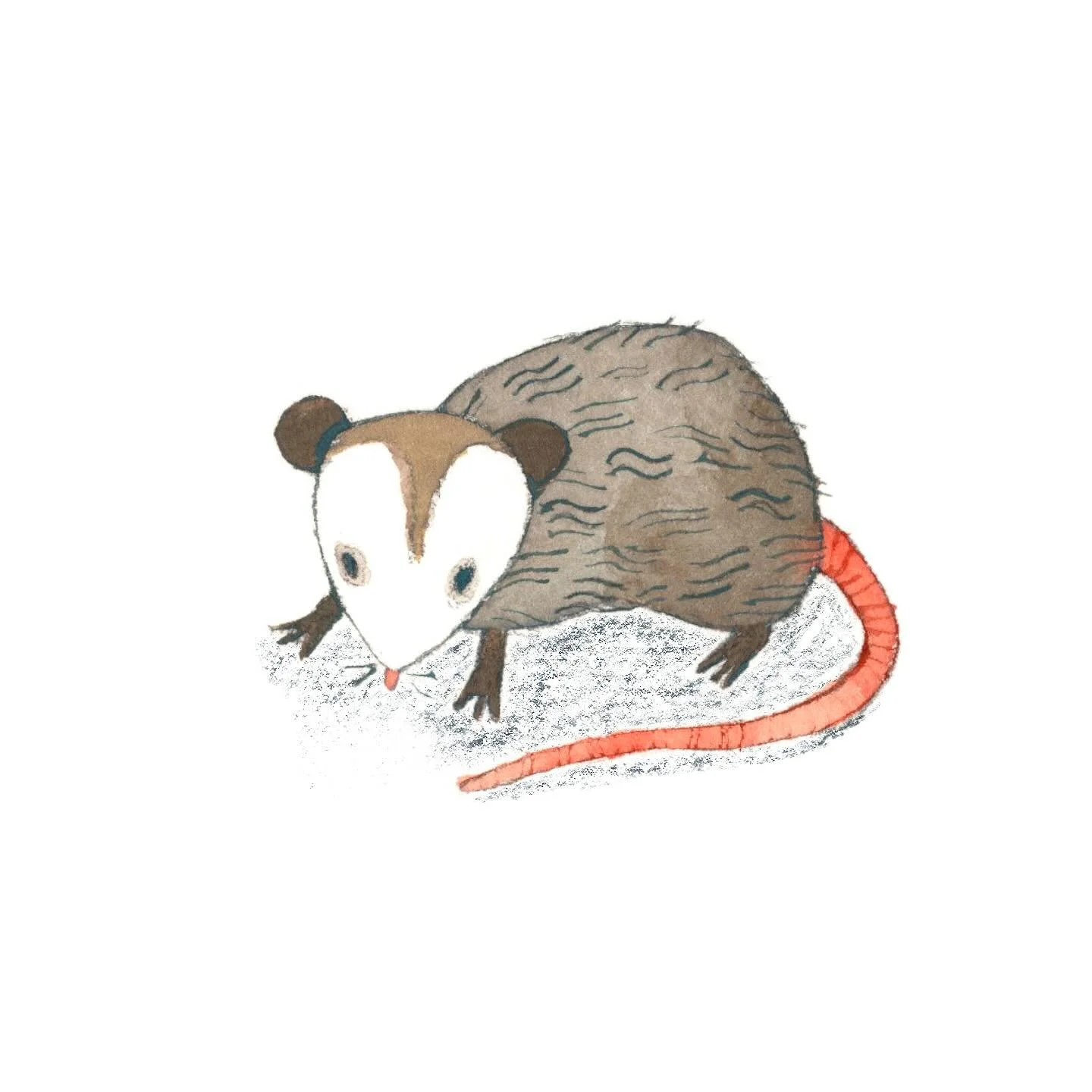 This li&rsquo;l guy is either your fairytale animal guide or he just wants to bite your hands