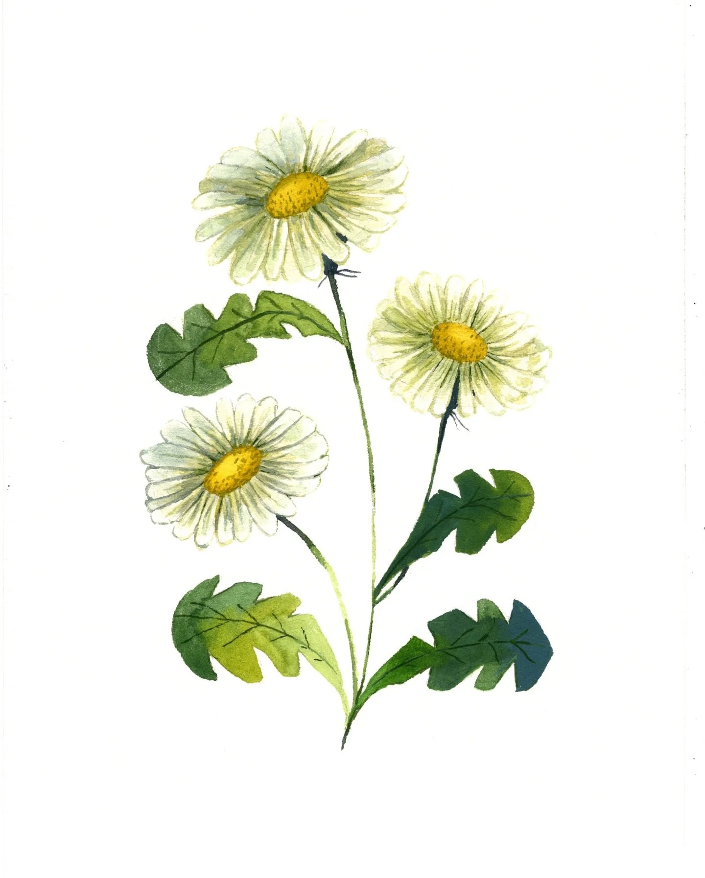 a gift i made for a friend 🌼