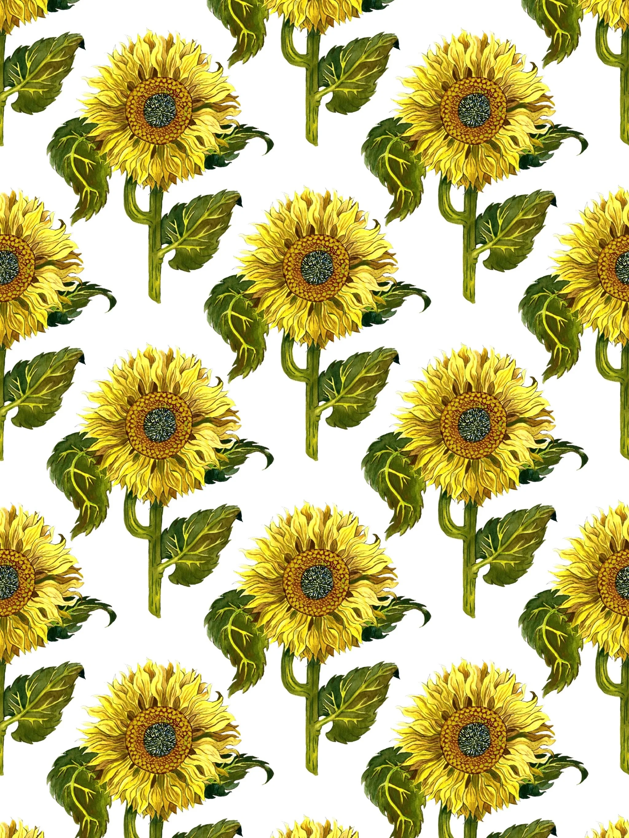 Sunflowers upon sunflowers 🌻💛

#surfacepattern #surfacepatterndesigner #floralart #botanicalillustrations #patterndesigner