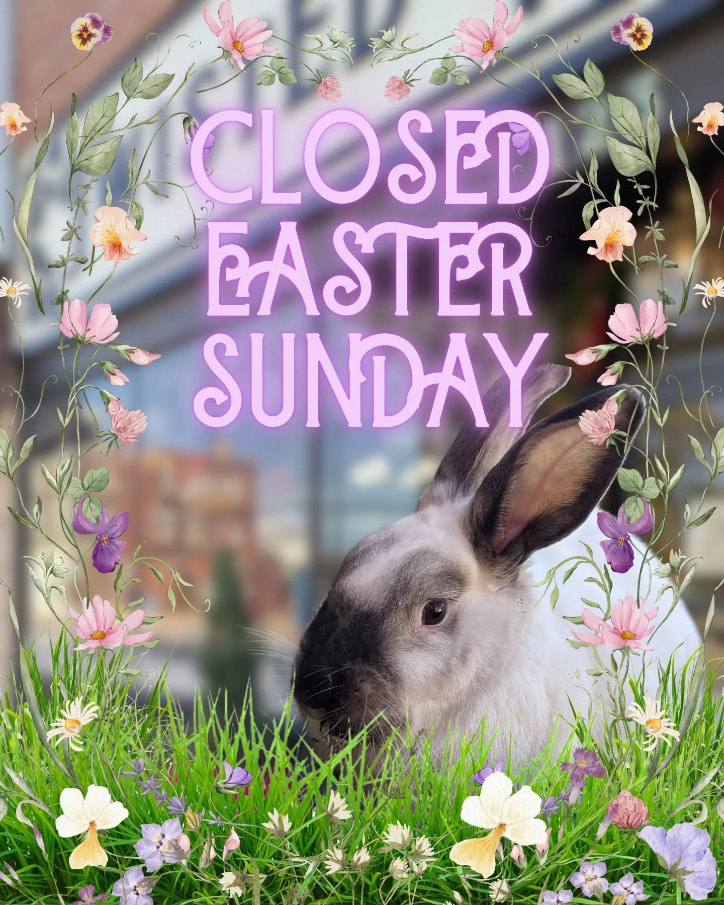 Hope everyone has a relaxing weekend! Twisted family will be taking time on Sunday for quality time and hopefully read something fun! Come in Saturday for a new book or a photo session with Alfie between 2 and 4. I'll be back to regular hours Wed wit