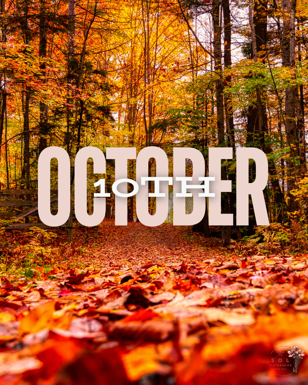 Joelle Faucette Profile Photo (20).png