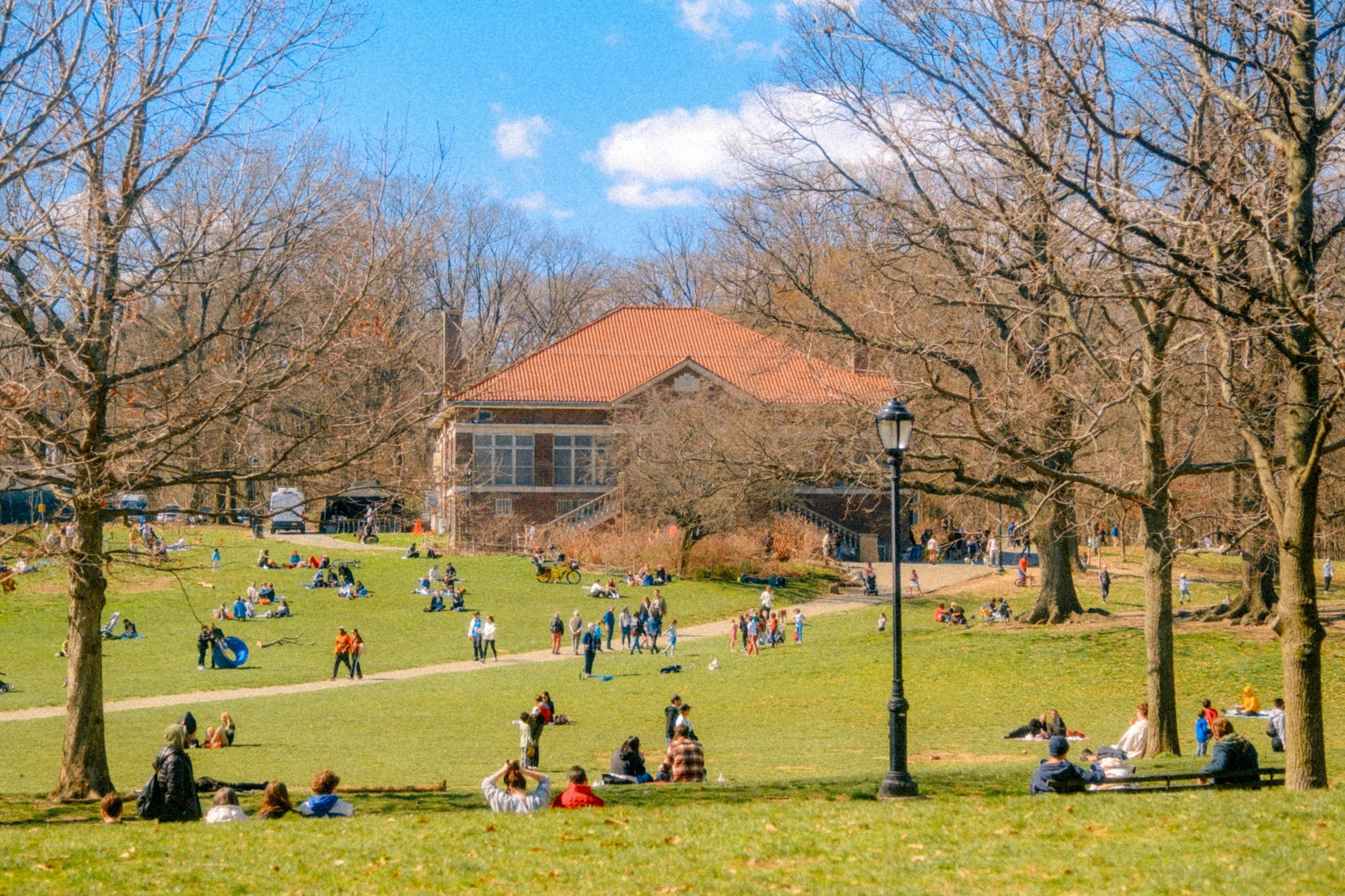 Peaceful view of Prospect Park in Brooklyn representing reflection, identity shifts, and personal growth during life transitions