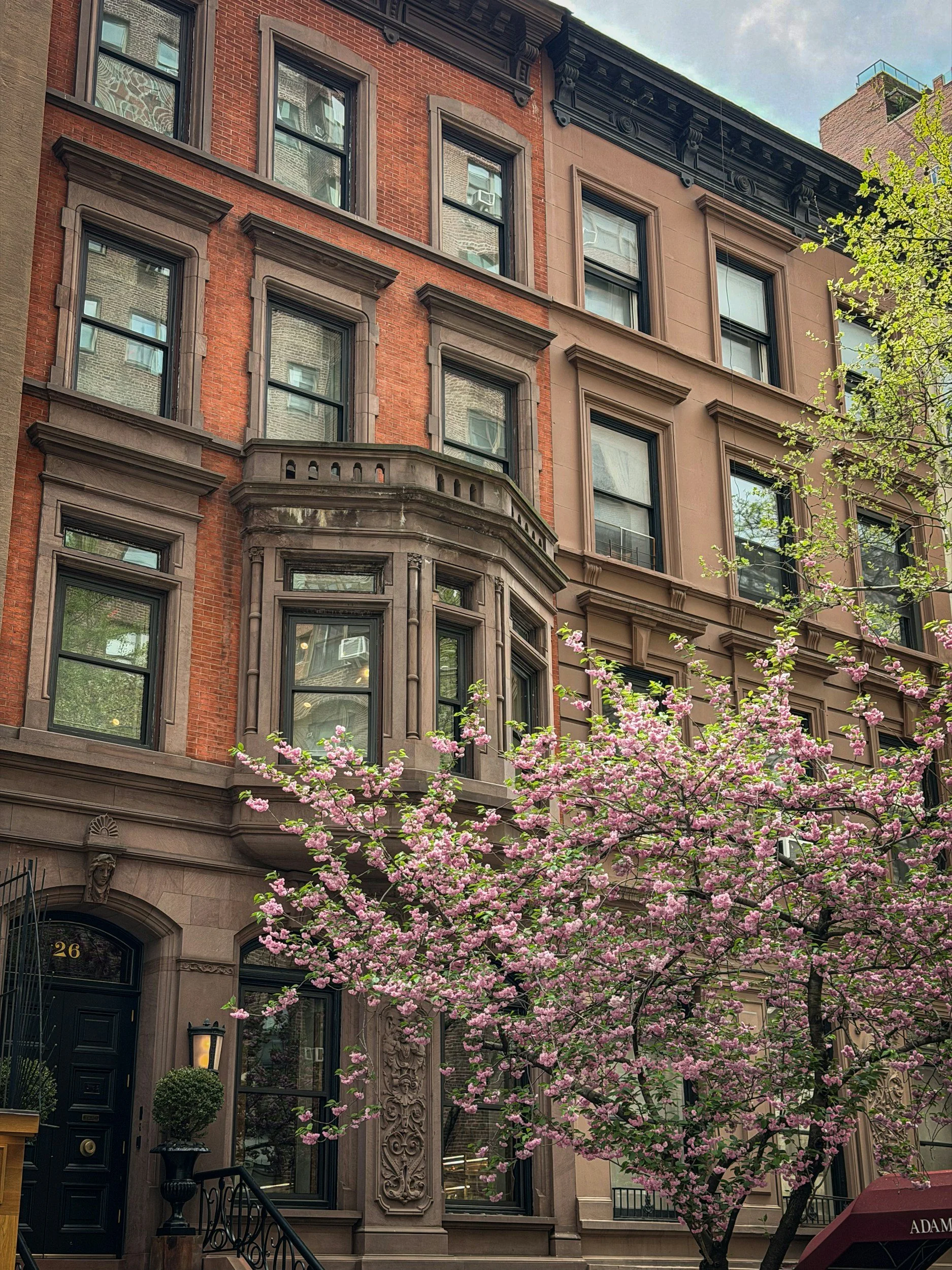 Historic brownstone buildings in Clinton Hill, Brooklyn