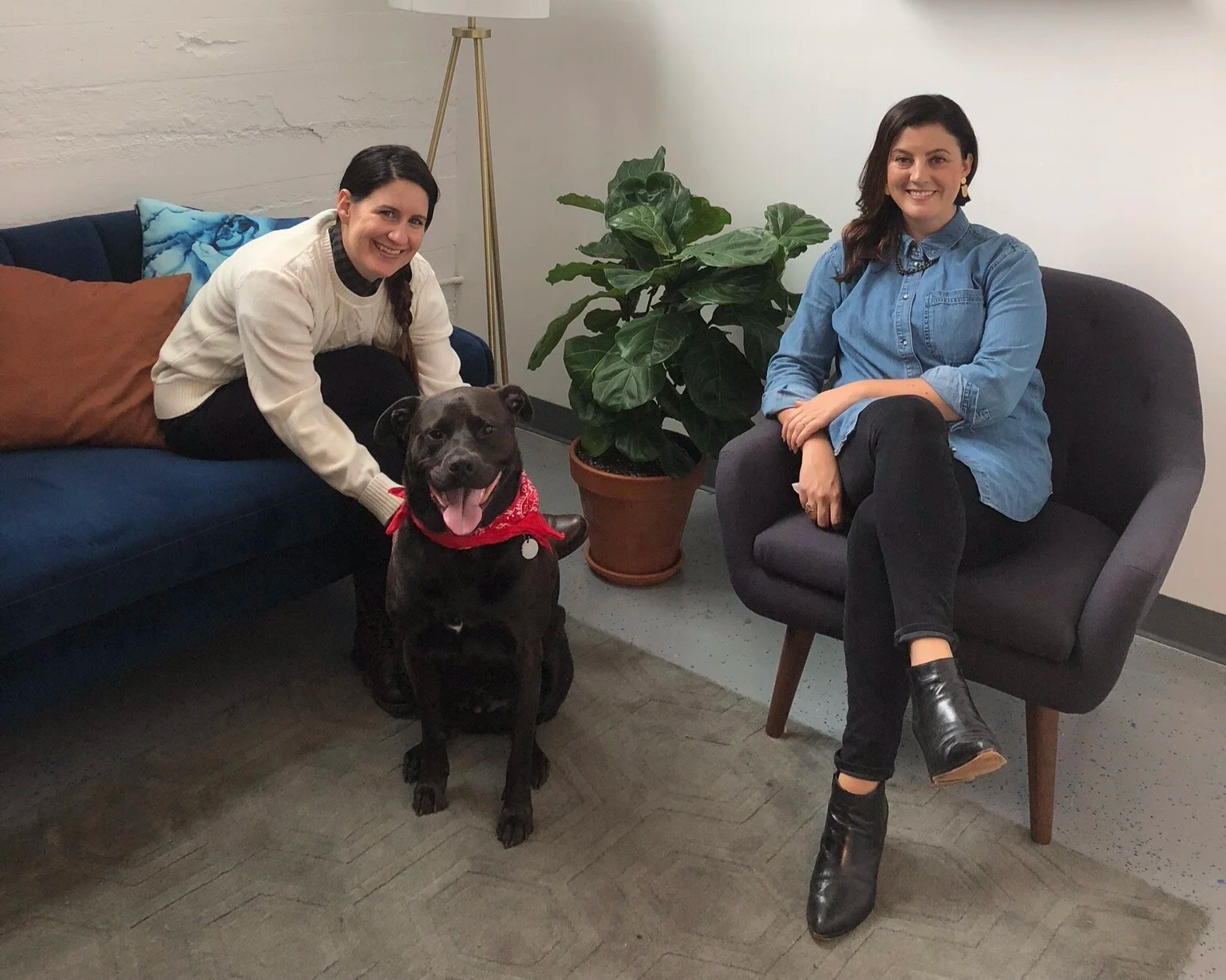 Groundwork Therapy co-directors in Brooklyn, New York