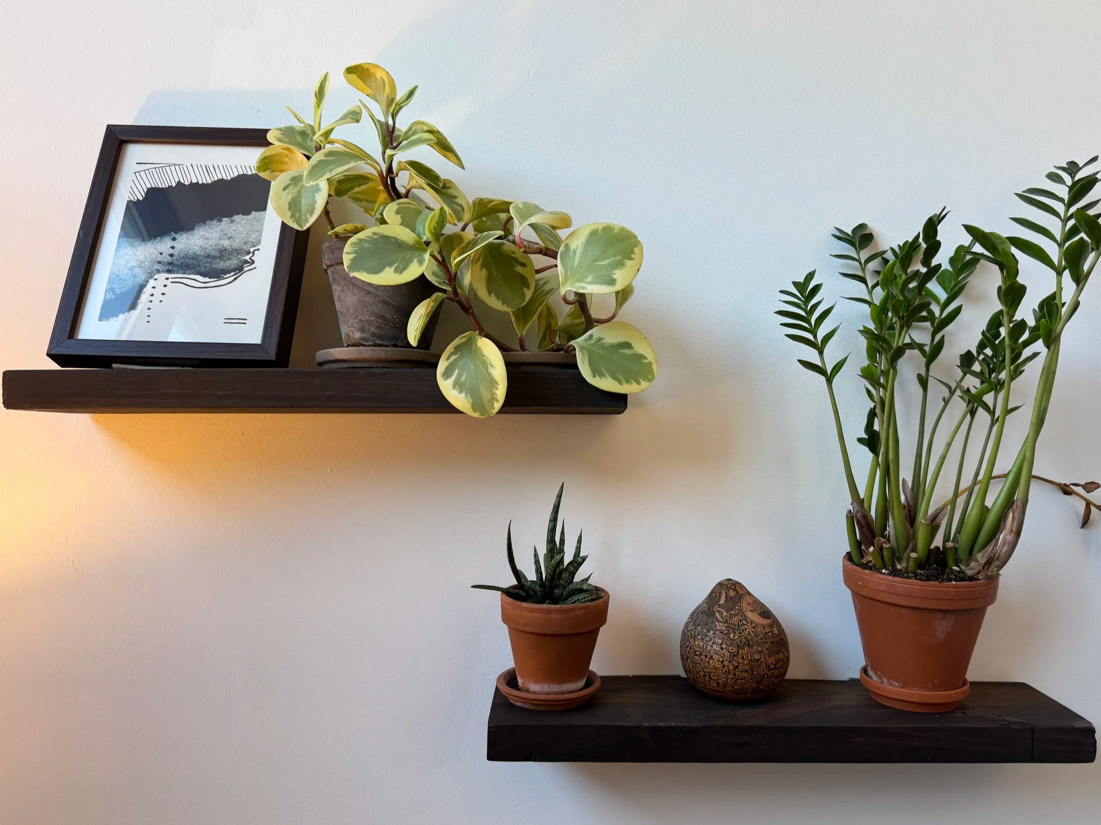 Books and a plant on a shelf in a welcoming therapy office in Brooklyn