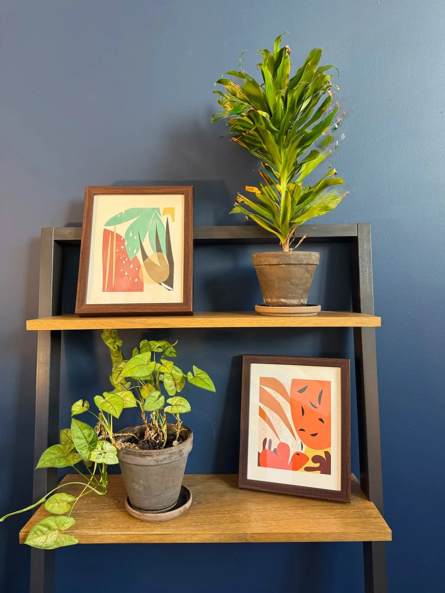 Bookshelf with plants and picture frames representing a virtual supervision group setting