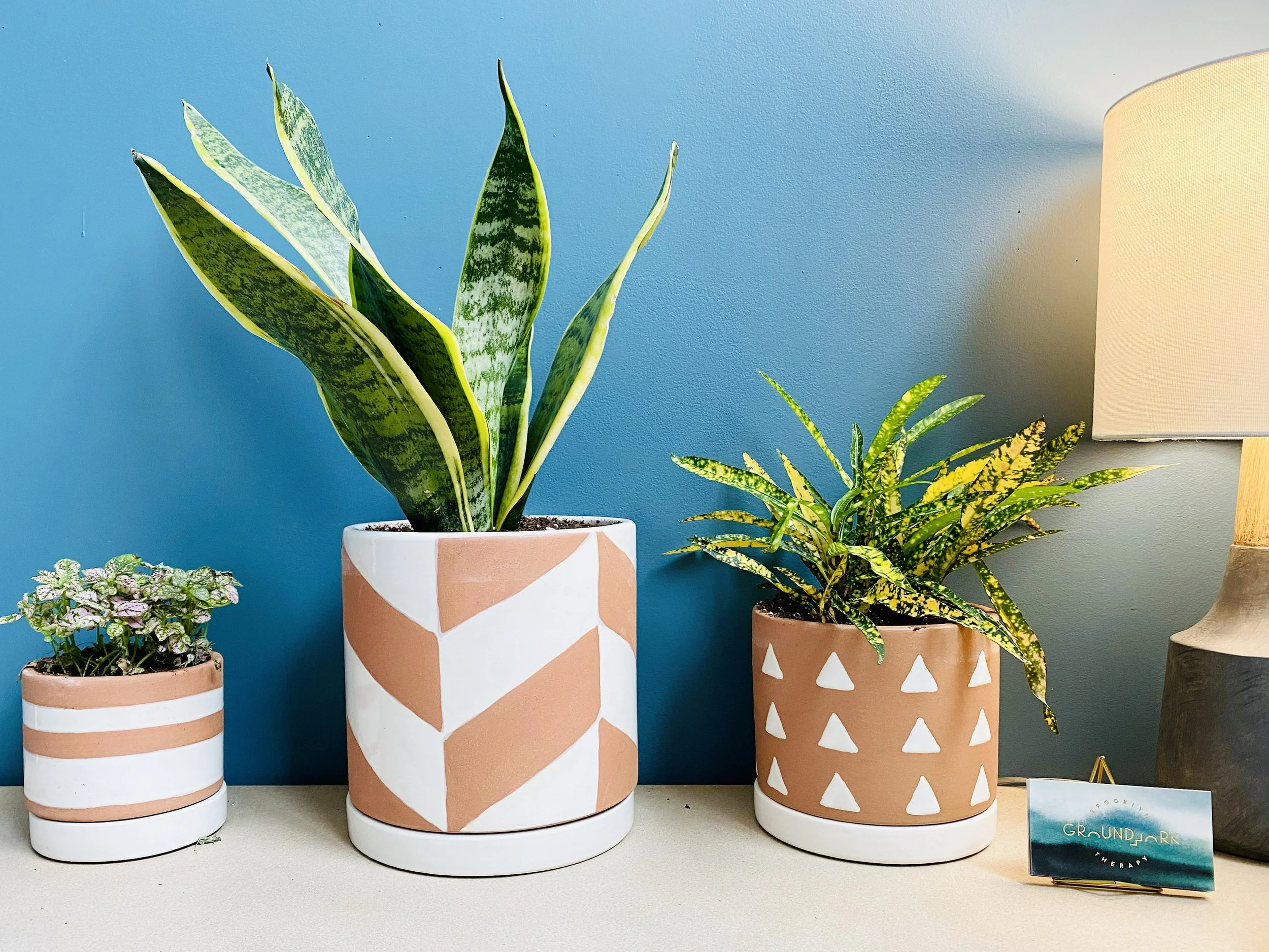 Green plants in a welcoming therapy office in Brooklyn