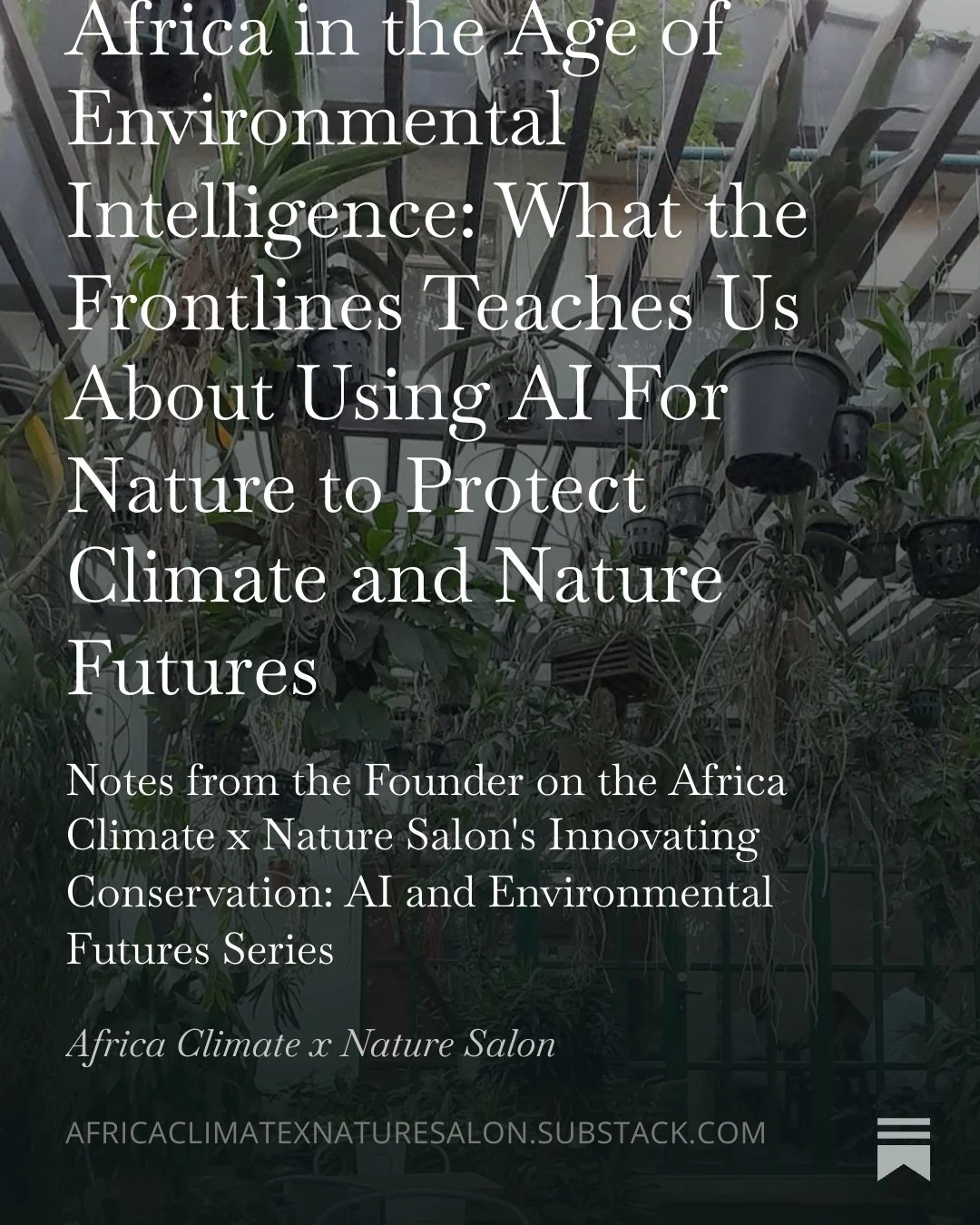 Indoor greenhouse with various potted plants, including orchids and ferns, hanging and placed on shelves, with sunlight coming through windows.