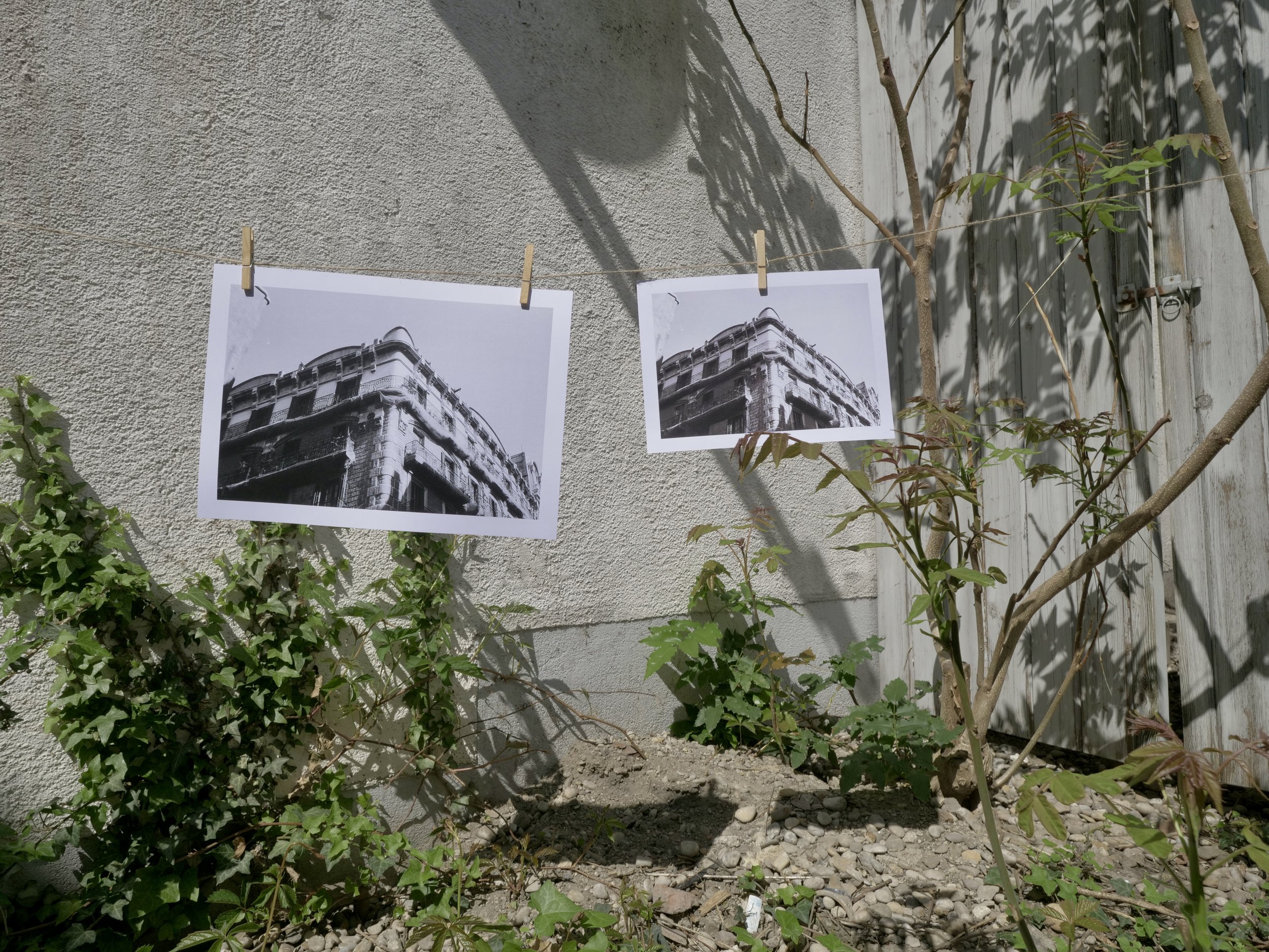 P1333485.jpeg