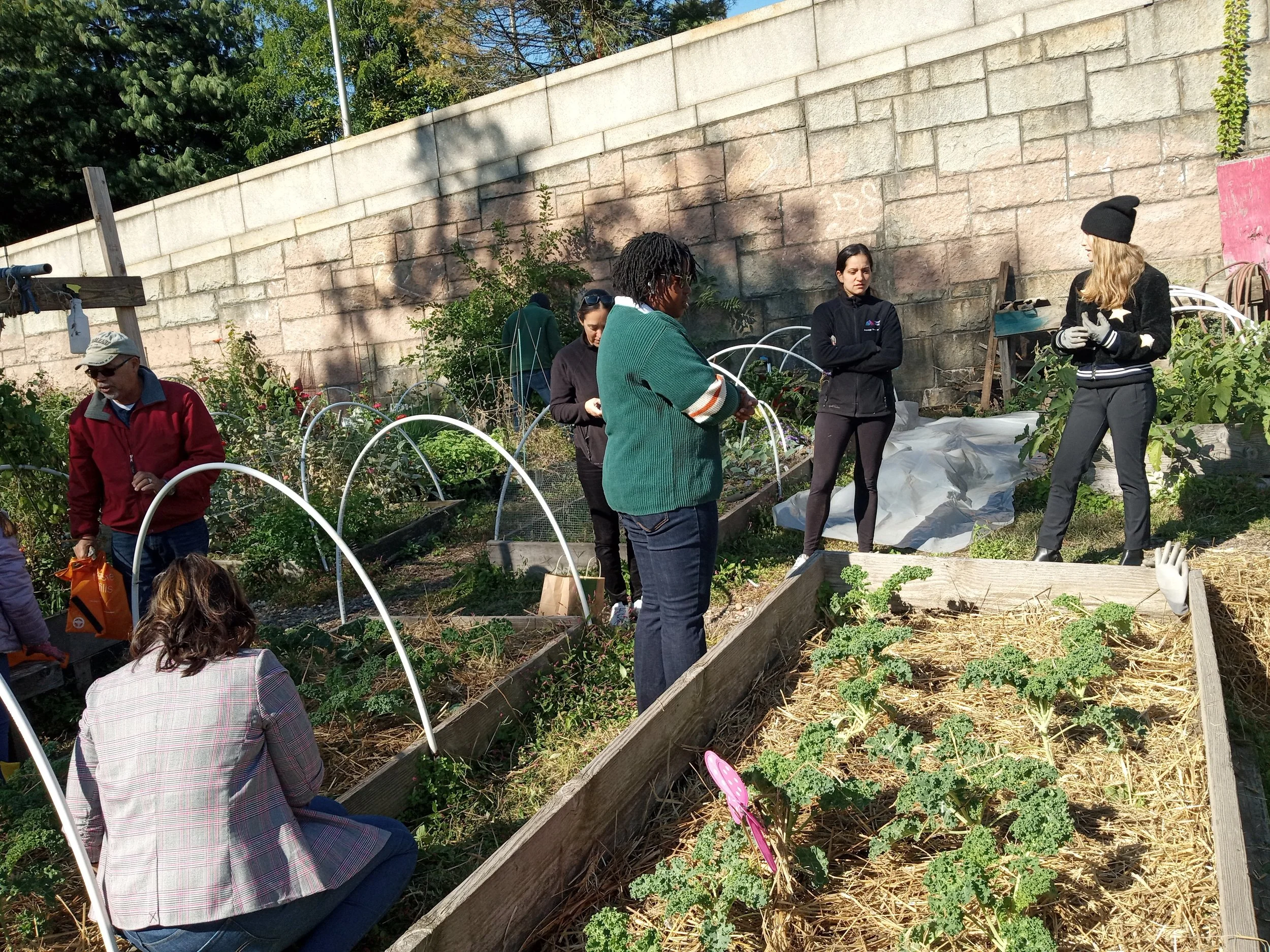 2nd Saturday’s Monthly Community Farm Workday + *Rise & Root plant sale distribution until 1pm.