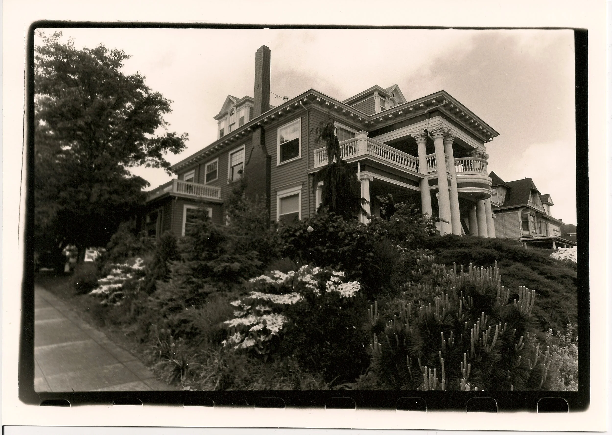 Alano Annual Open House