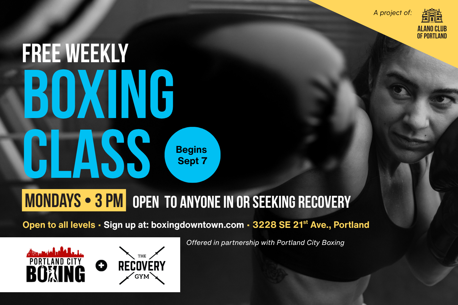 Intro to Boxing