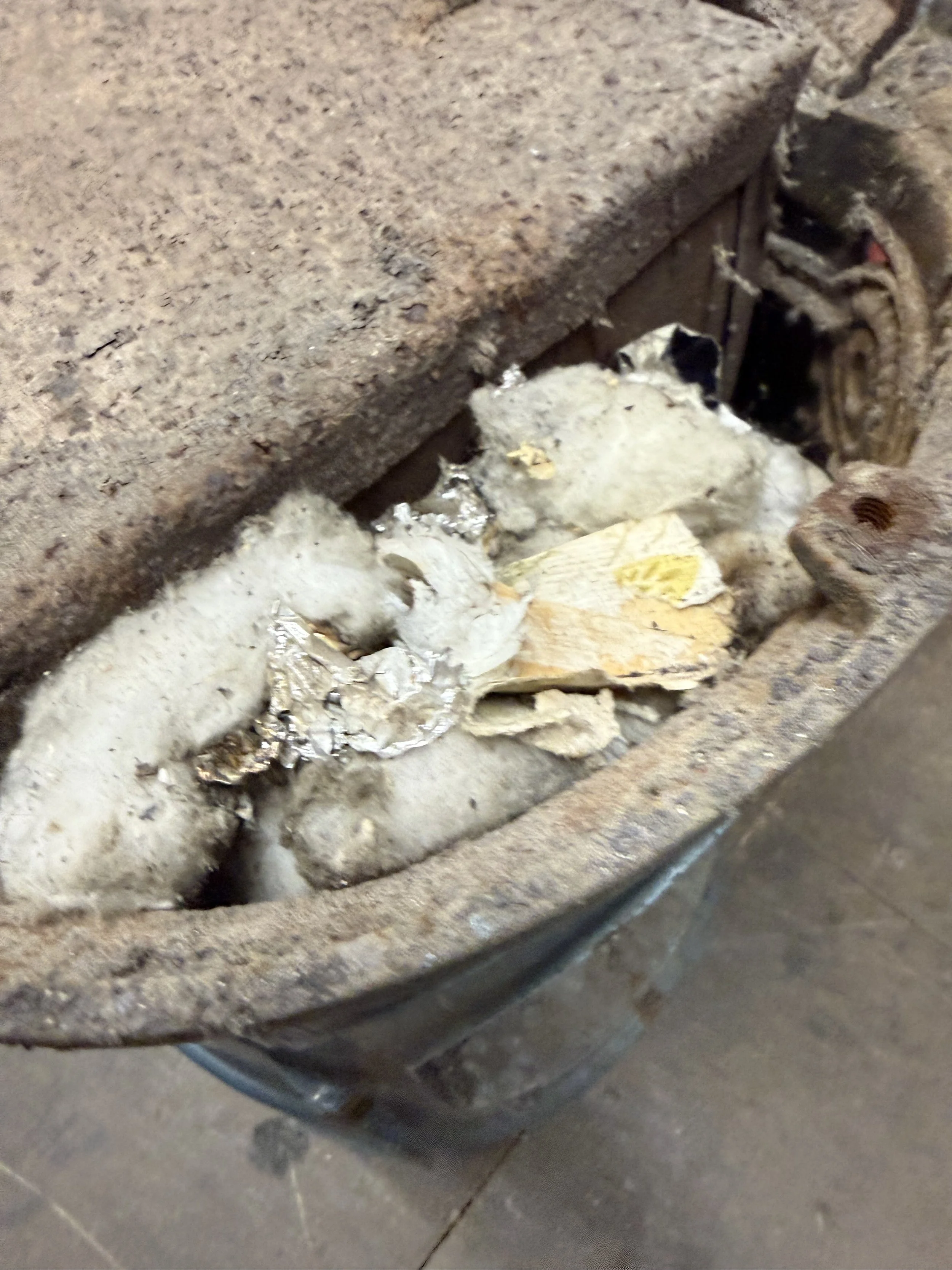 Le Non Pareil with a mouses nest.