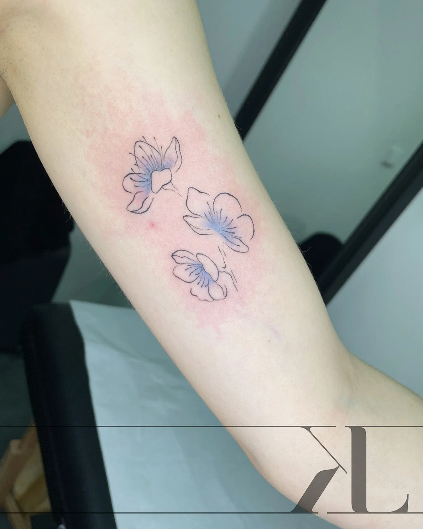 Cherry blossoms 🩵
.
.
.
.
.
.
.
.
#cherryblossom #cherryblossomtattoo #linetattoo #singleneedletattoo #tattooart #tattoo #lineworktattoo #linework #blacklinetattoo #tetovani #tattoobrno #tetovanibrno #lktattoopiercing