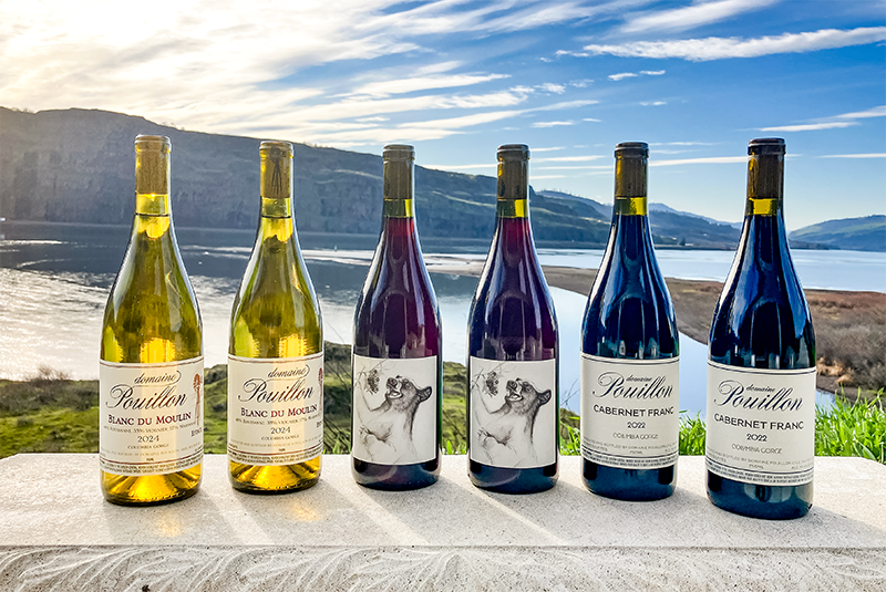 Six Domaine Pouillon bottles of wine lined up outdoors on a stone surface, with a metal pergola and blue sky in the background. The bottles are labeled with different wine names and vintages.