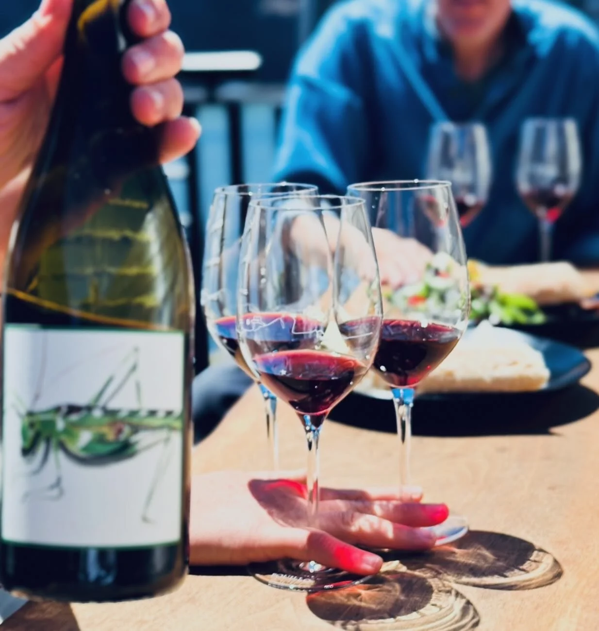 Our 2023 Katydid release happens this Friday, April 24th 👀 

Our beloved Rh&ocirc;ne blend is back and ready to pour! The sun is promising to shine, so come taste for yourself and enjoy the breathtaking views while having some lunch on the deck&mdas