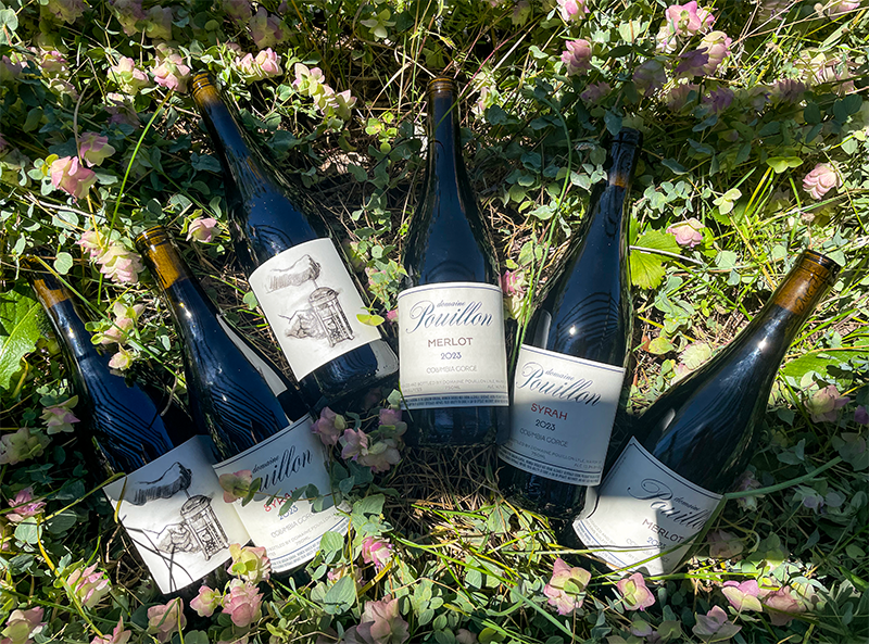 Six Domaine Pouillon bottles of wine laying in a bed of clover. The bottles are labeled with different wine names and vintages.