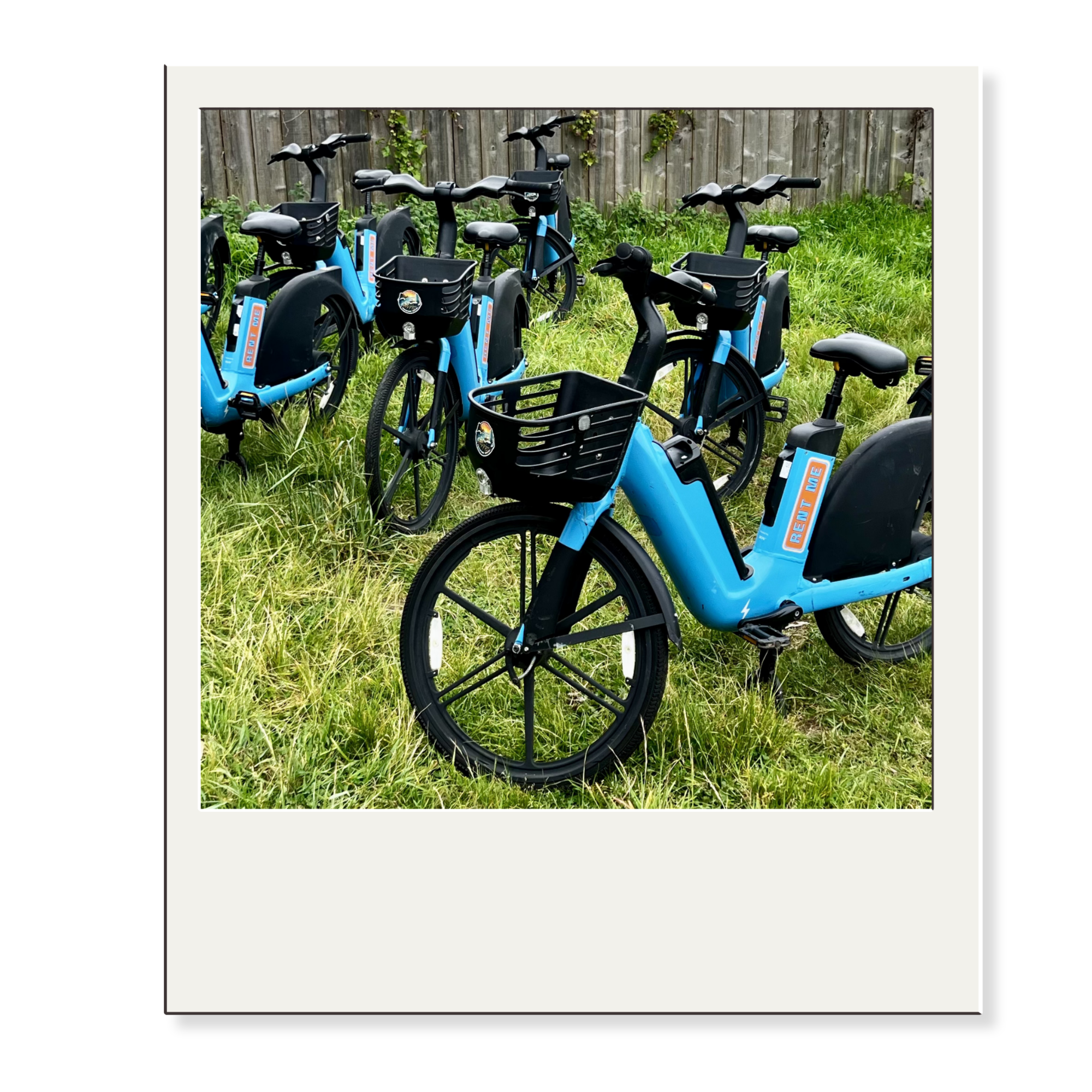 Multiple blue rental bikes with front baskets parked on grass near a wooden fence.