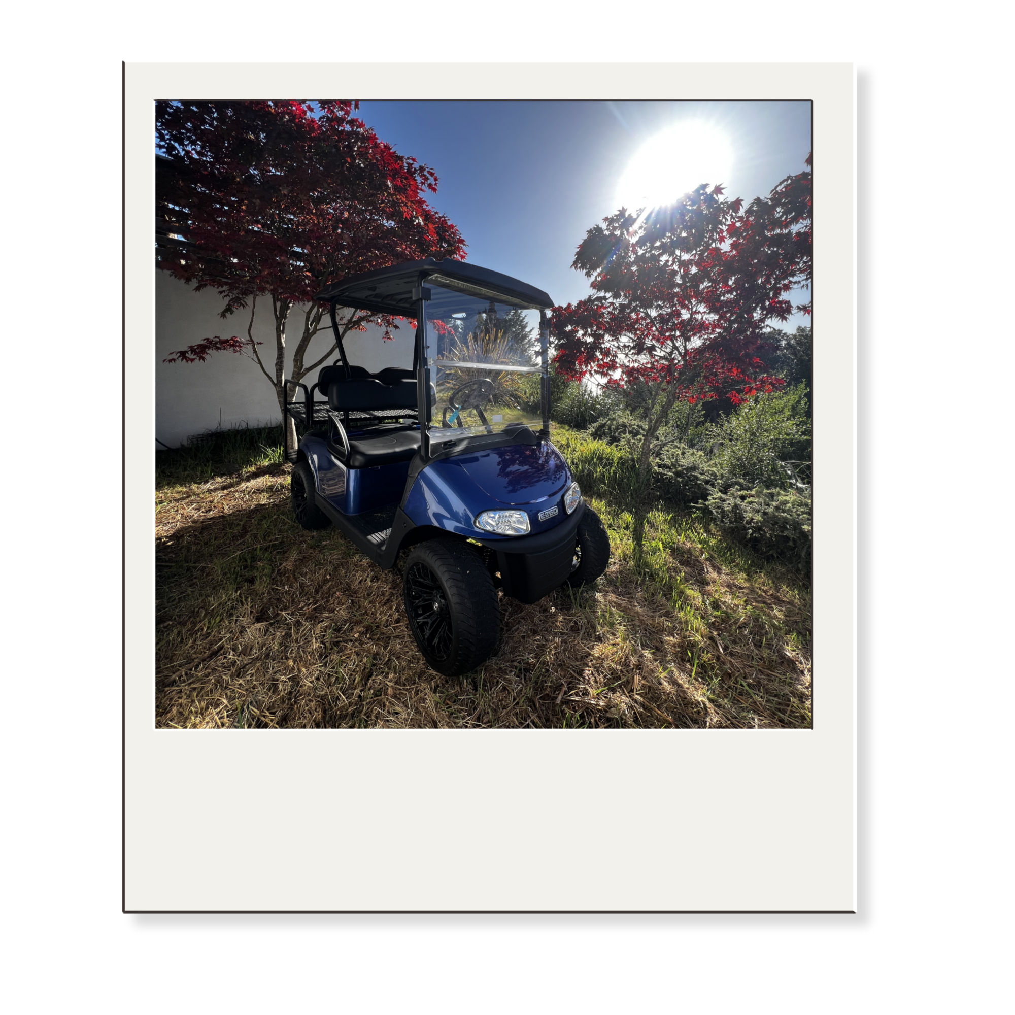 Blue golf cart parked on grassy area with trees and bushes in the background, sunlight shining brightly overhead.