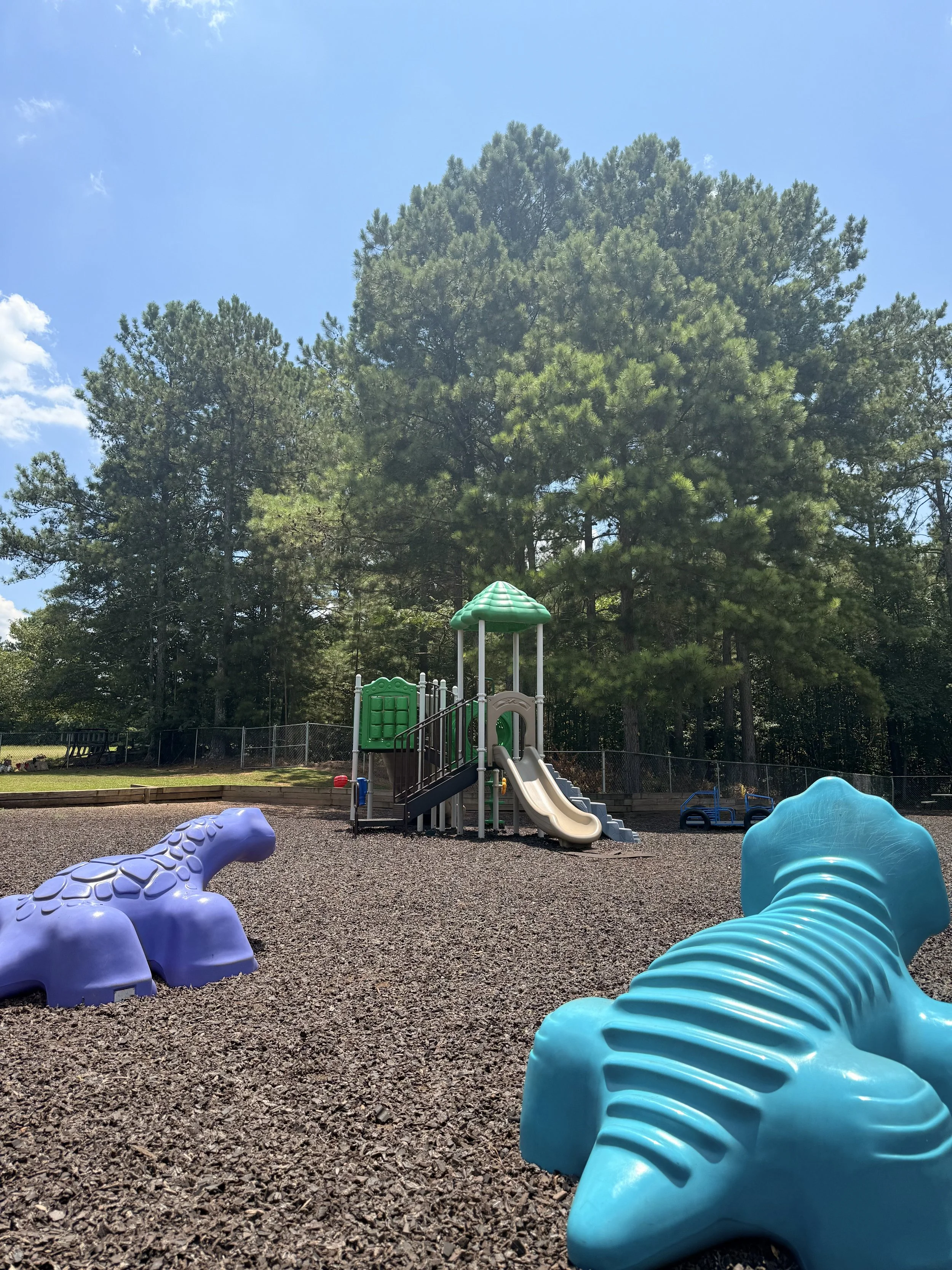 Colorful children's playground with purple and blue animal-shaped climbing structures and a slide, surrounded by green trees under a bright blue sky.