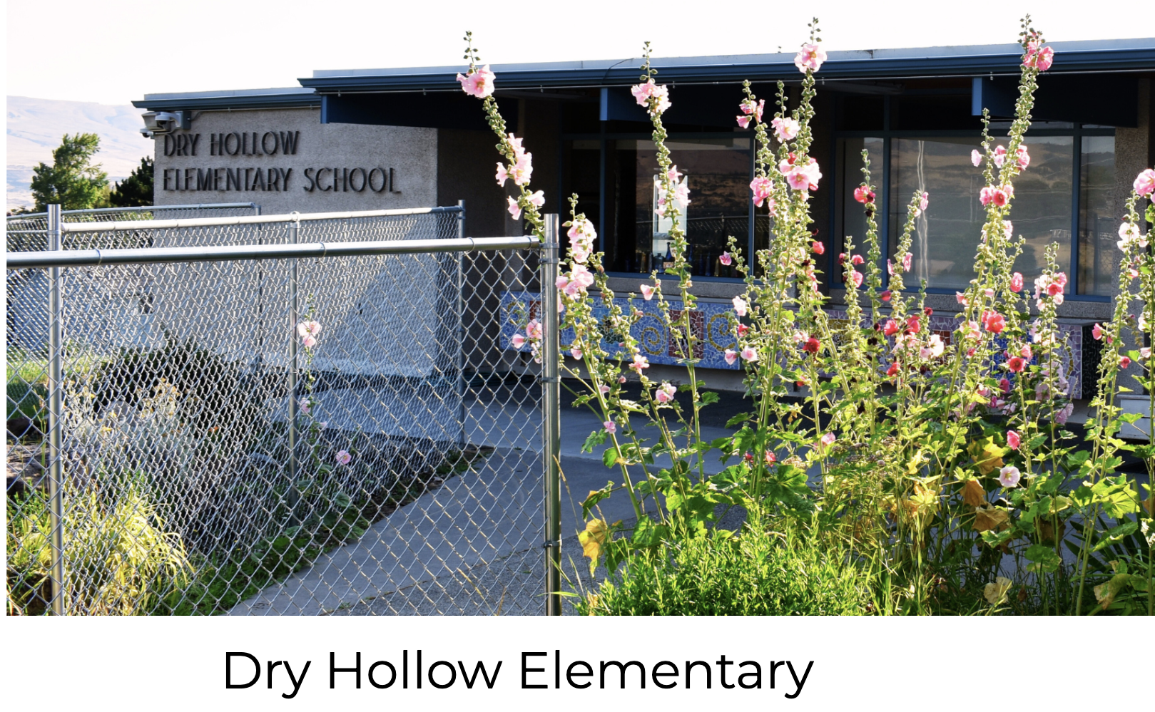 Literacy Night @ Dry Hollow Elementary School